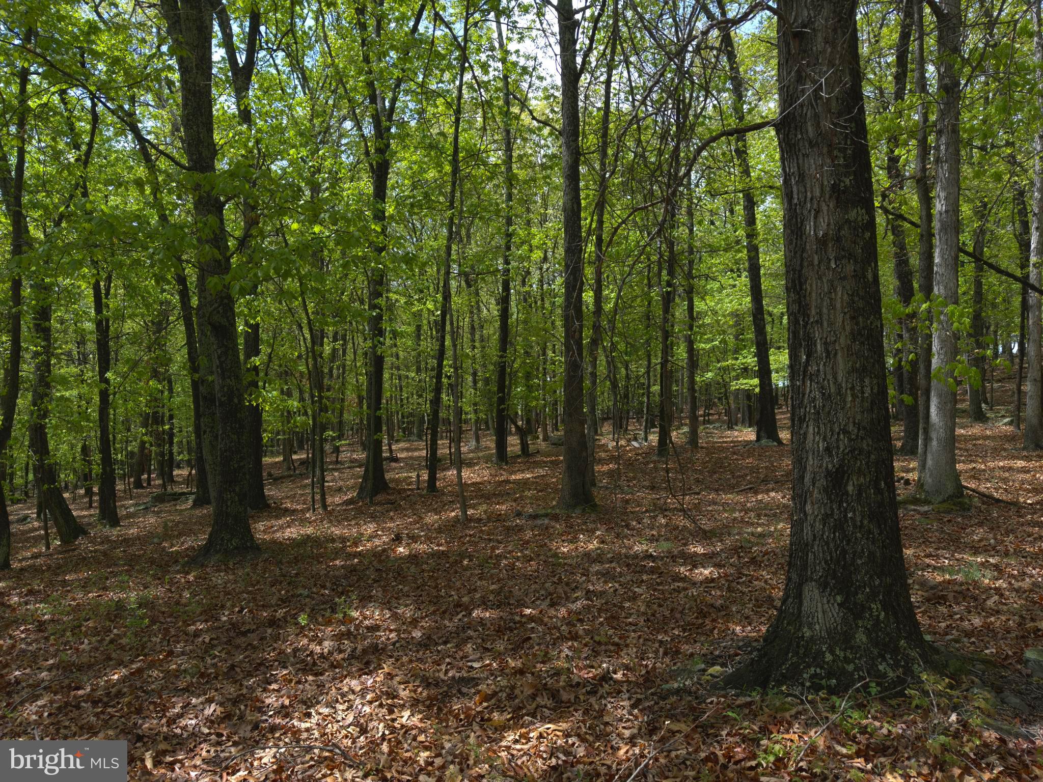 ORCHARD VIEW ESTATES - Land