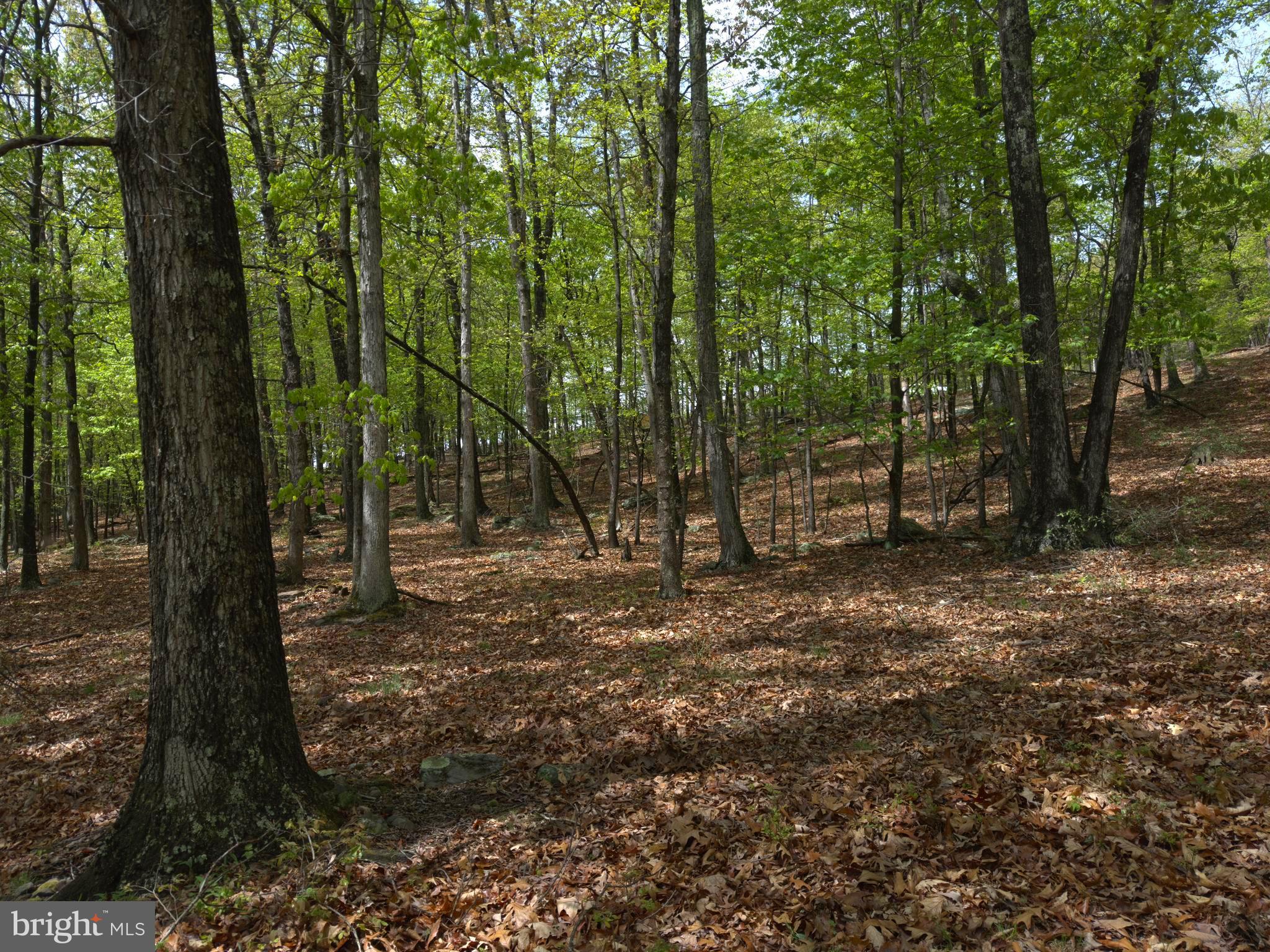 ORCHARD VIEW ESTATES - Land