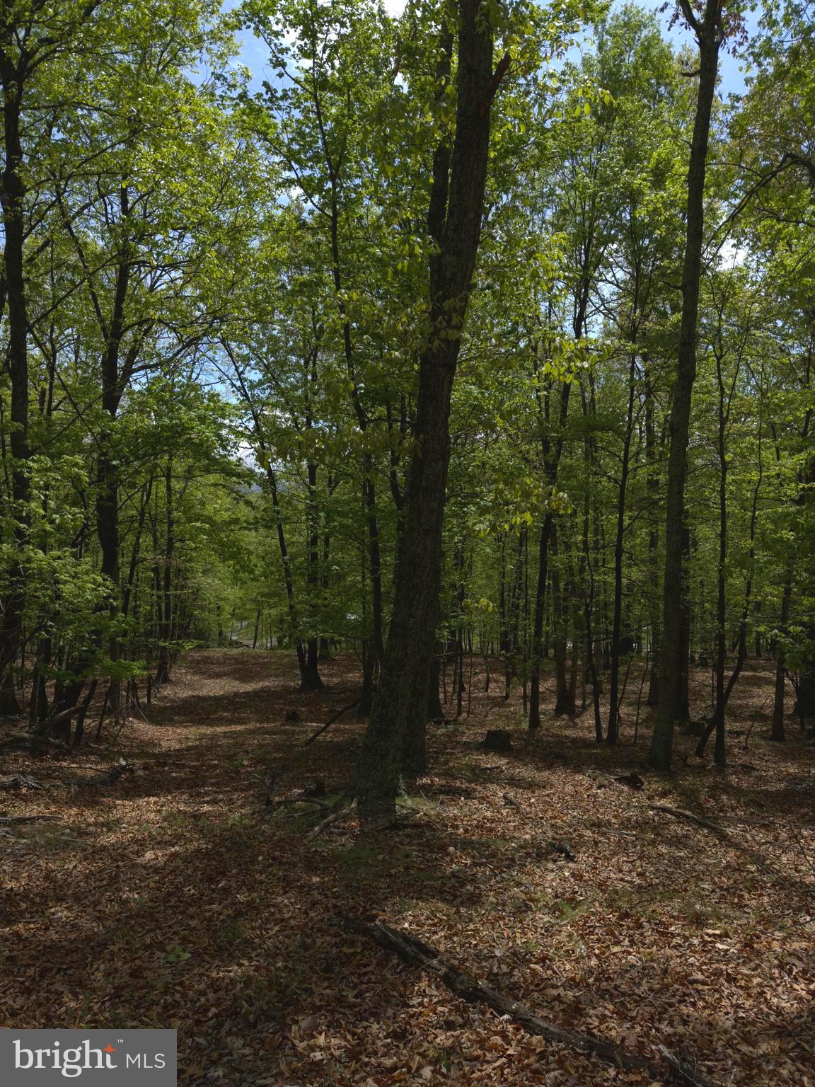 ORCHARD VIEW ESTATES - Land