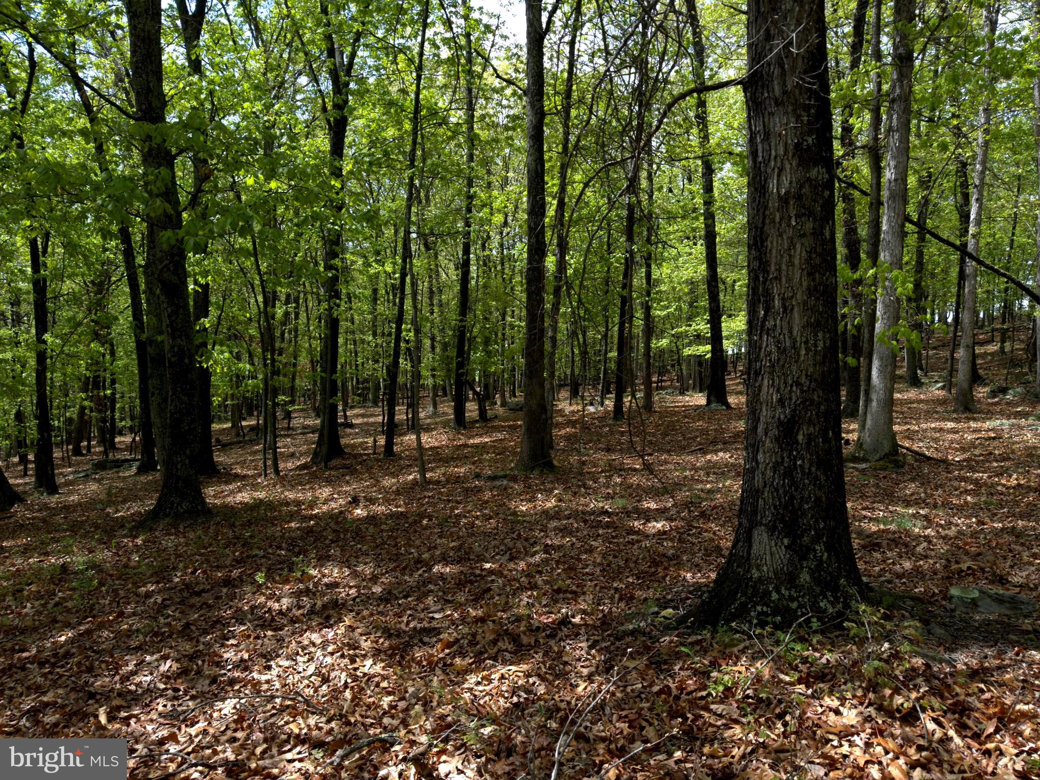 ORCHARD VIEW ESTATES - Land