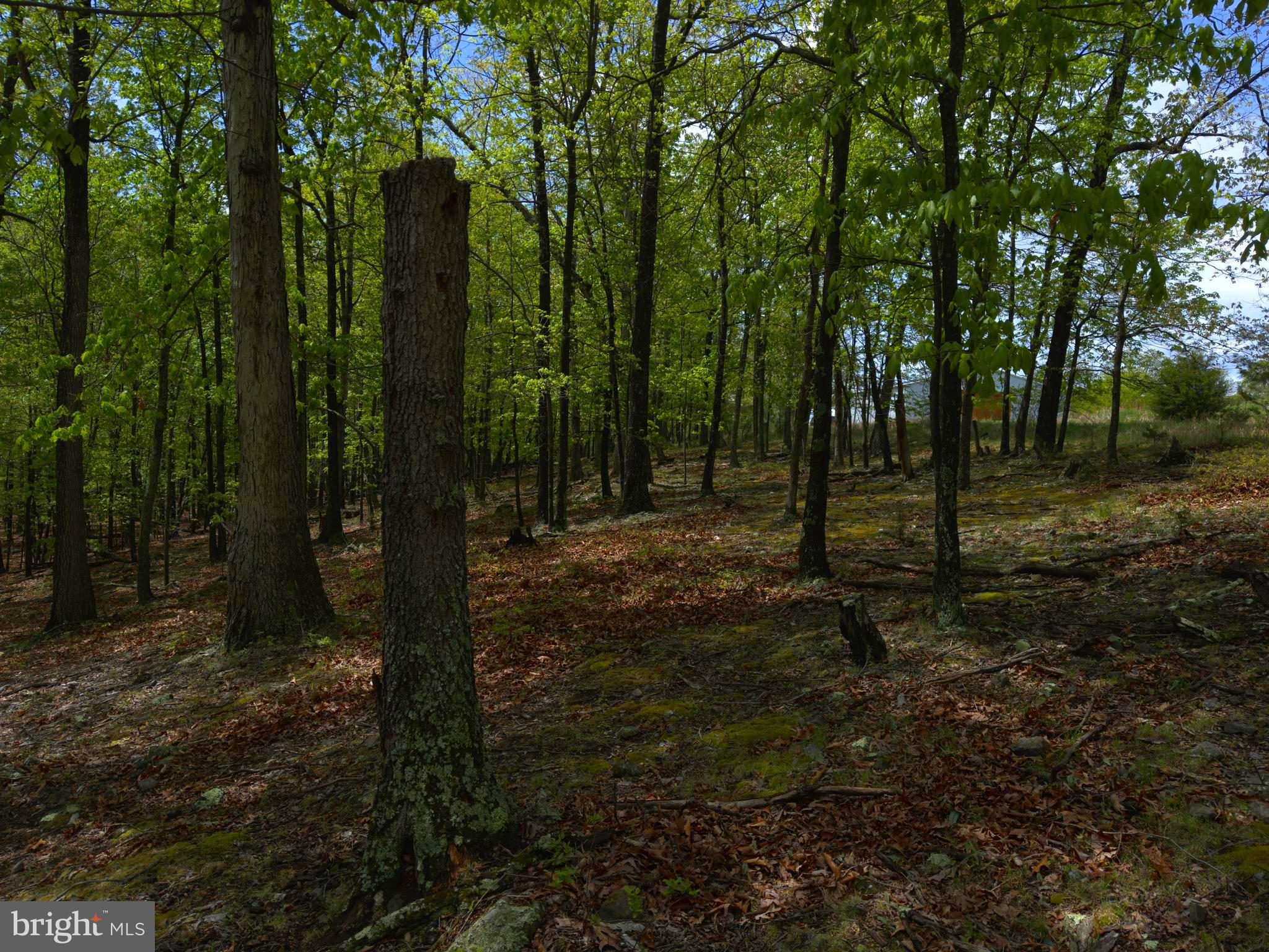 ORCHARD VIEW ESTATES - Land