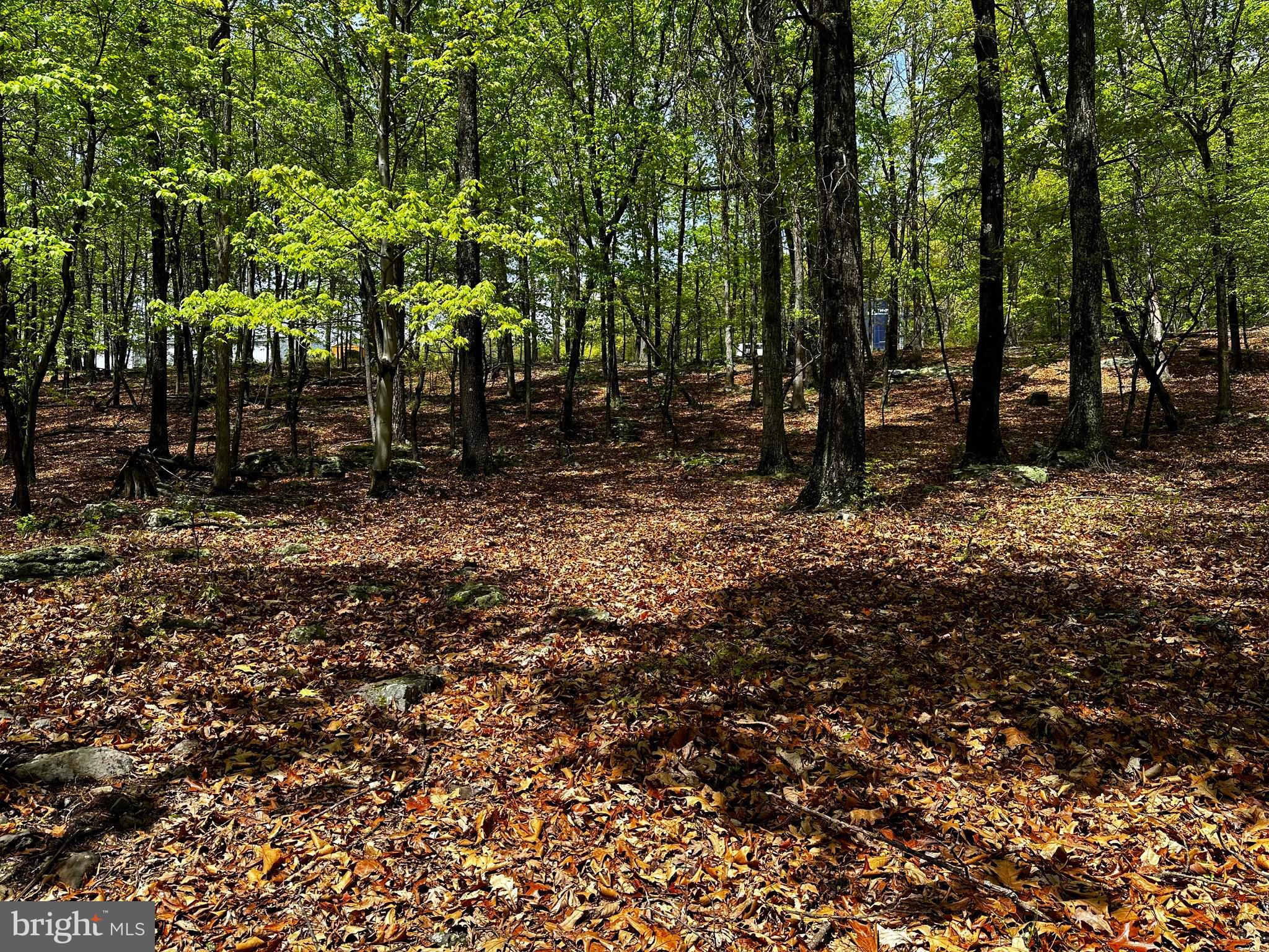 ORCHARD VIEW ESTATES - Land