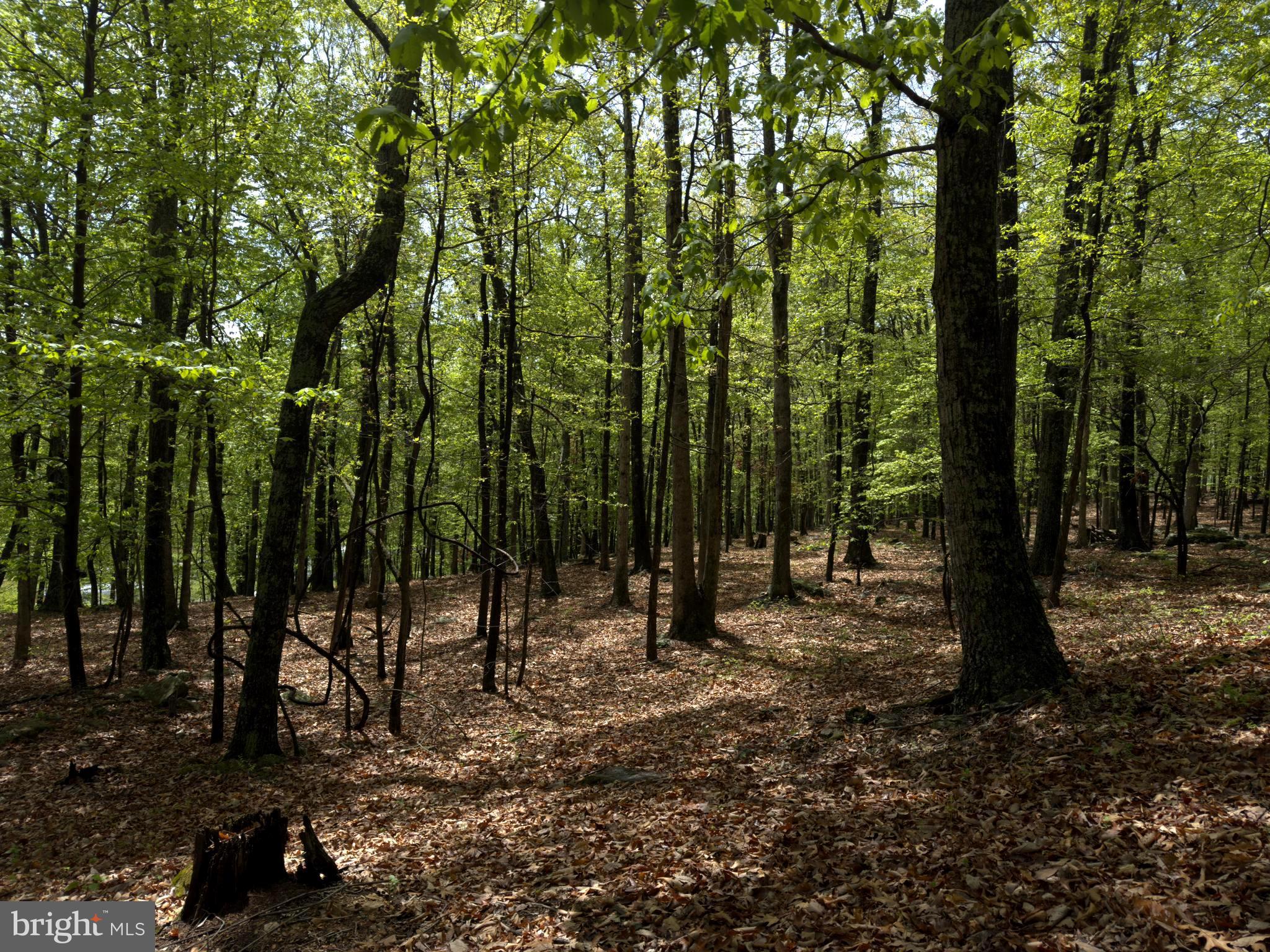 ORCHARD VIEW ESTATES - Land