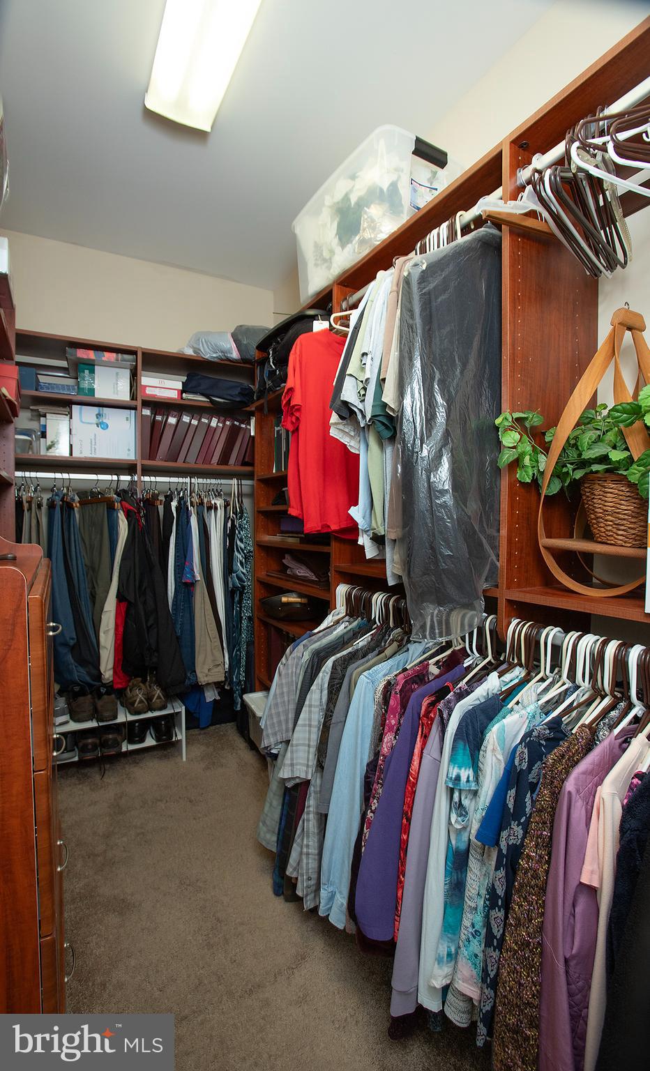 DEER PATH WOODS - Residential