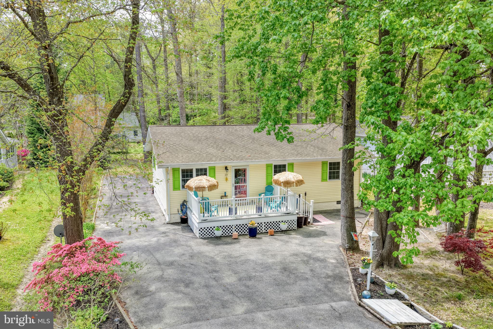 29 SAINT MARTINS LANE