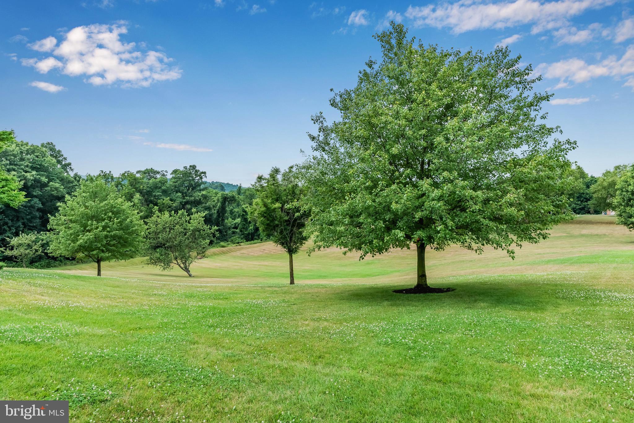 SOUTHRIDGE - Residential