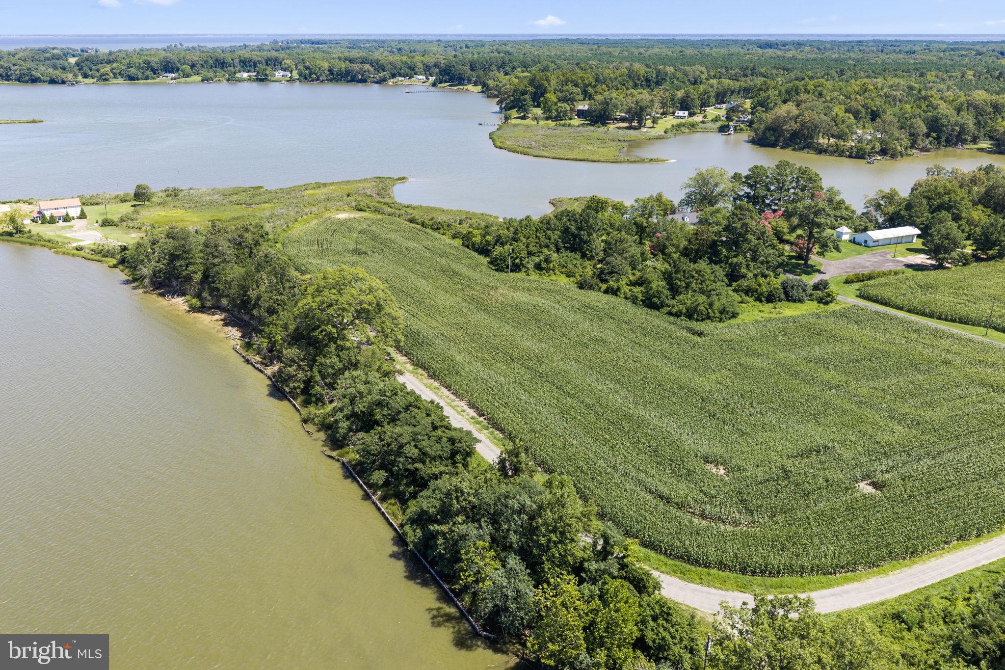 14961 KINGS HWY LOT 7
