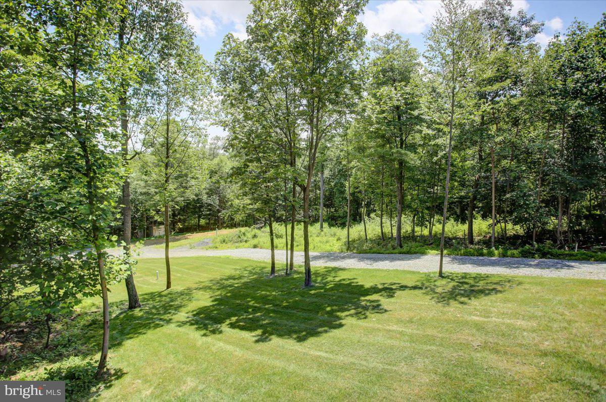 11376 SKYLINE DR