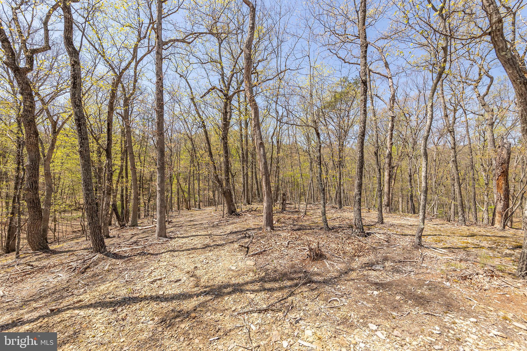 OAK FOREST SUBDIVISION - Residential