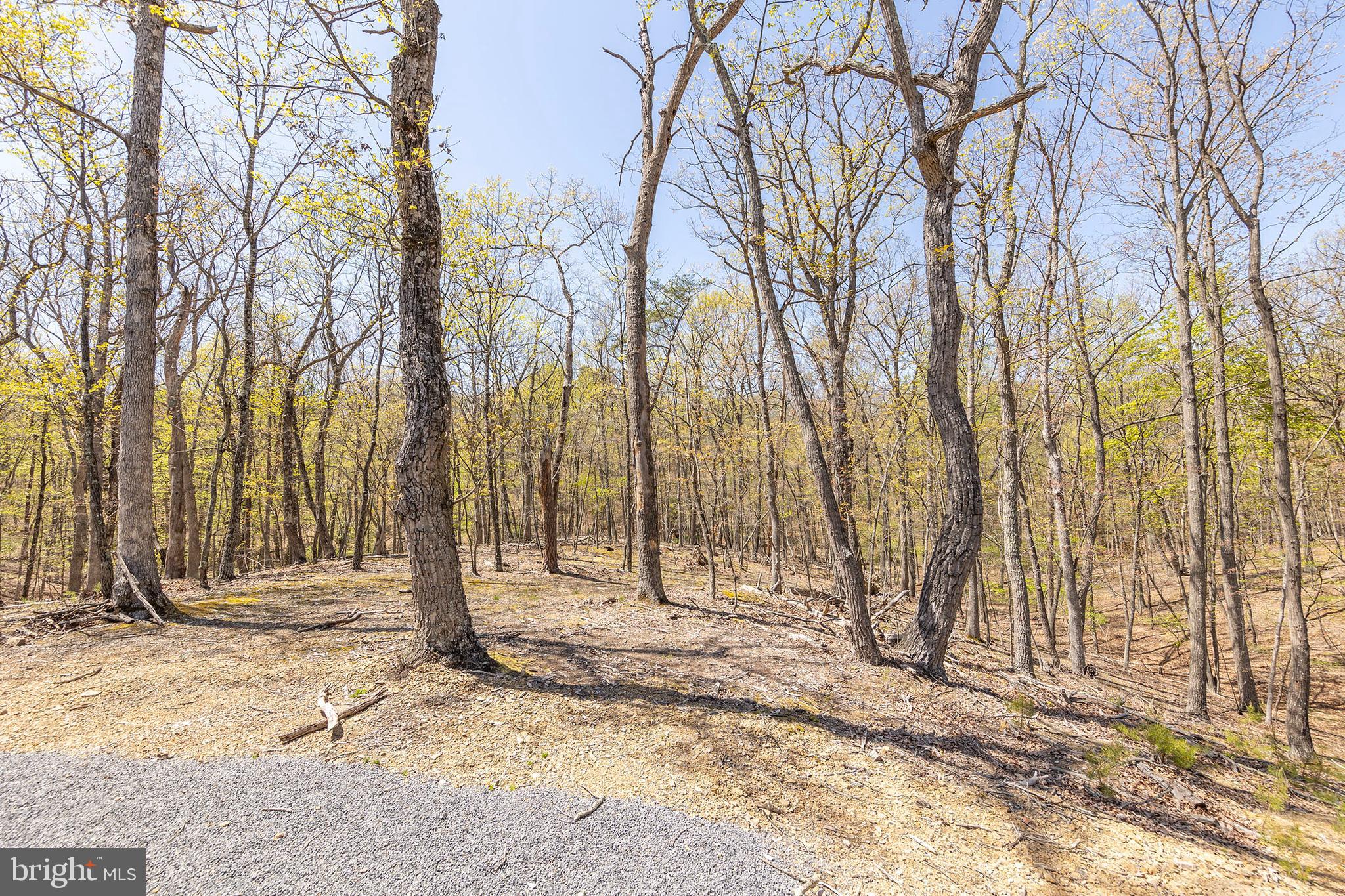 OAK FOREST SUBDIVISION - Residential