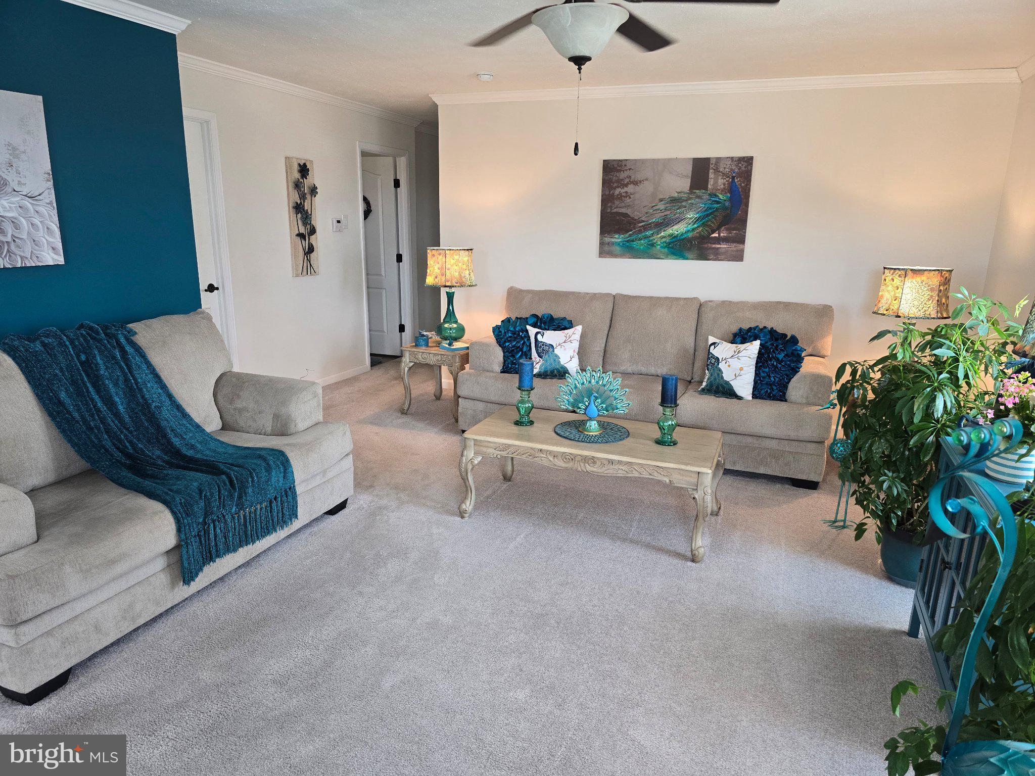 300 ORIOLE DRIVE