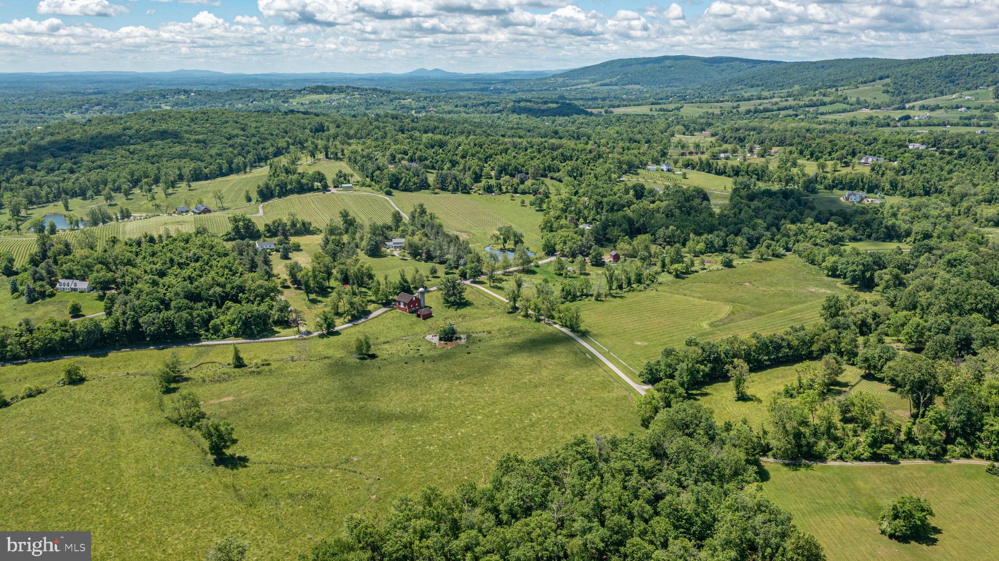 BLUE RIDGE CHASE - Residential