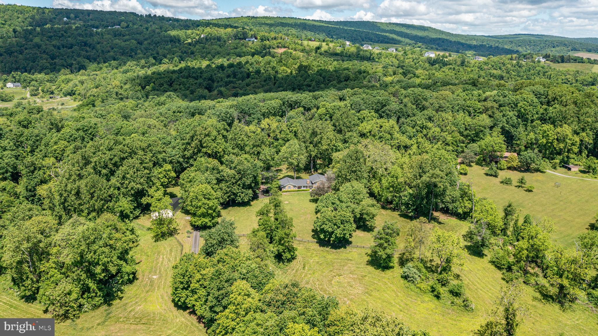 BLUE RIDGE CHASE - Residential