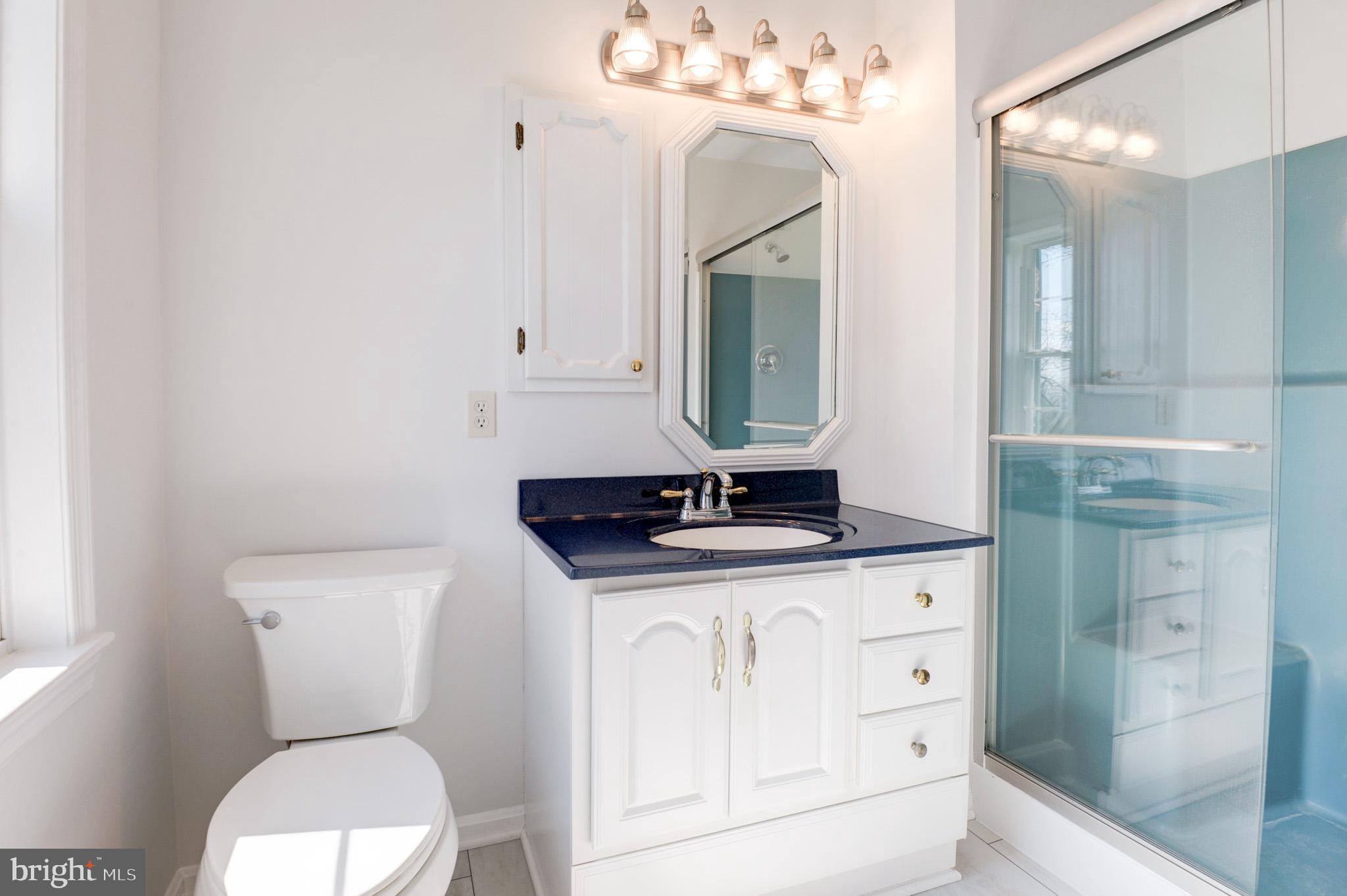 BLUE RIDGE CHASE - Residential