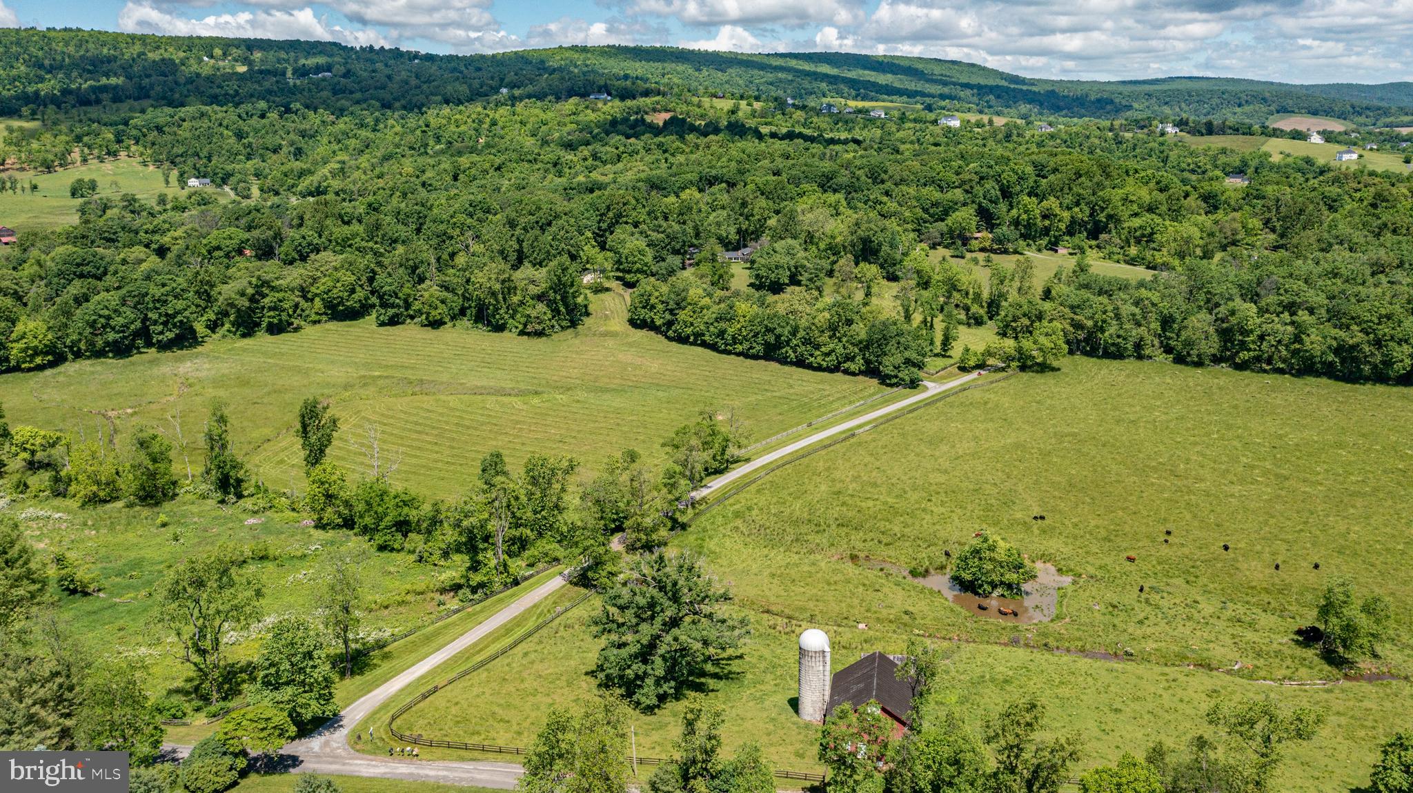 BLUE RIDGE CHASE - Residential