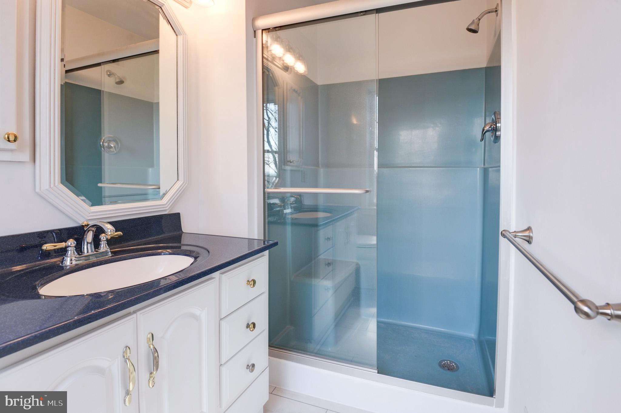 BLUE RIDGE CHASE - Residential