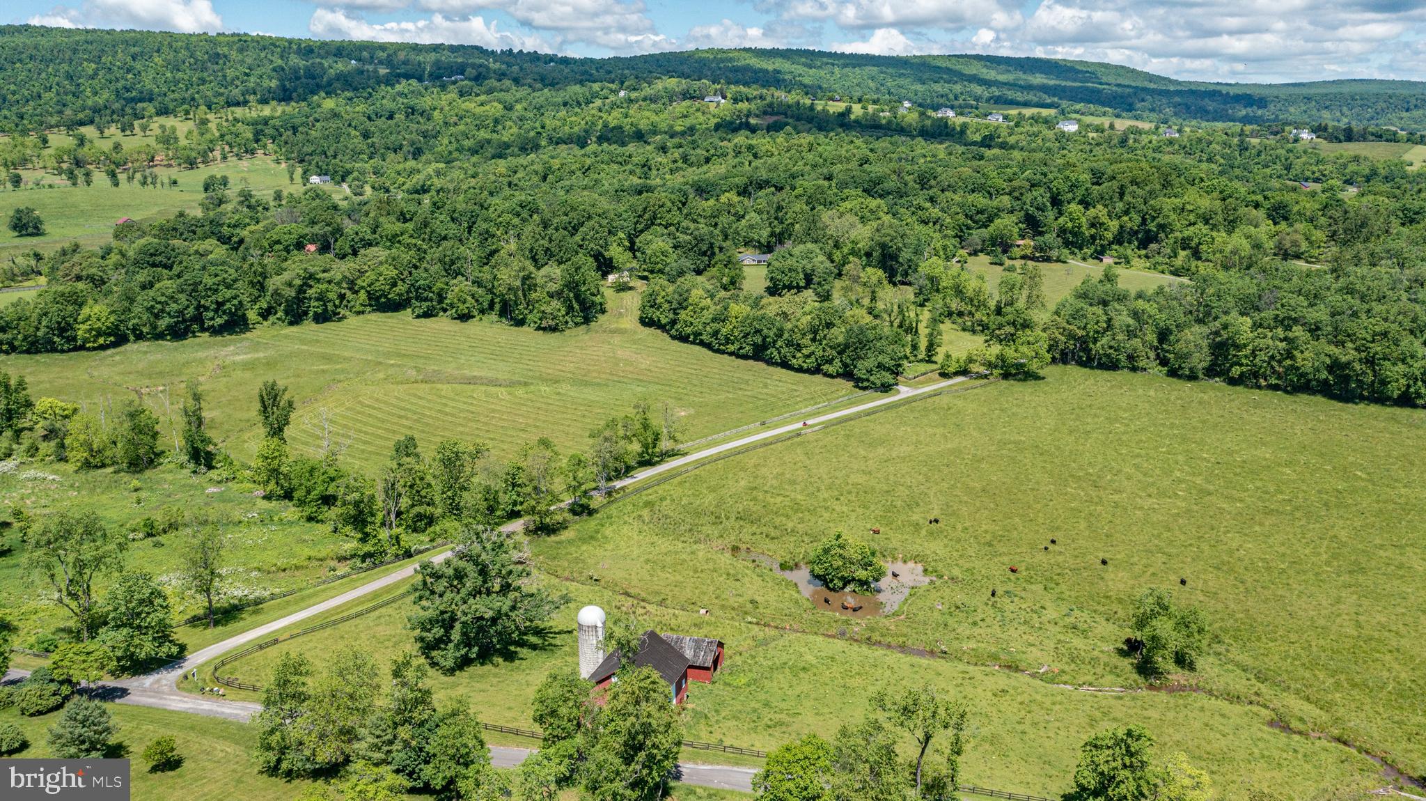 BLUE RIDGE CHASE - Residential