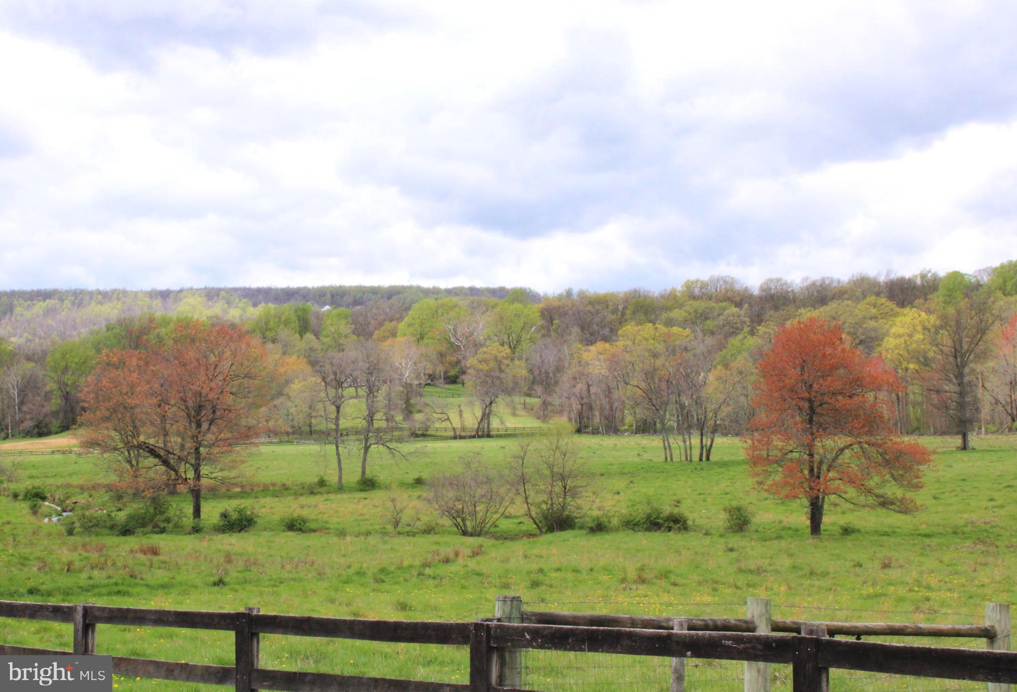 BLUE RIDGE CHASE - Residential