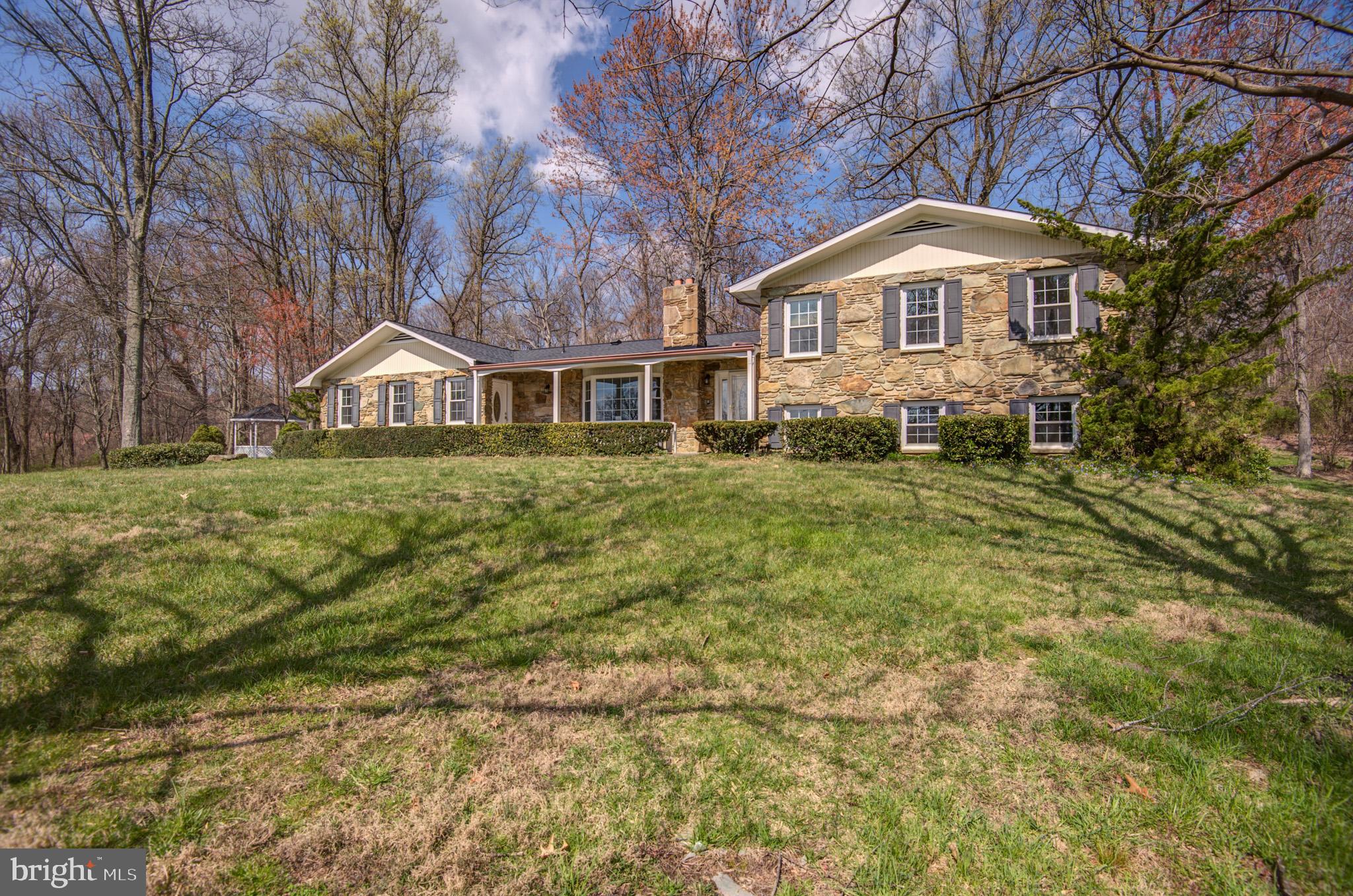 BLUE RIDGE CHASE - Residential