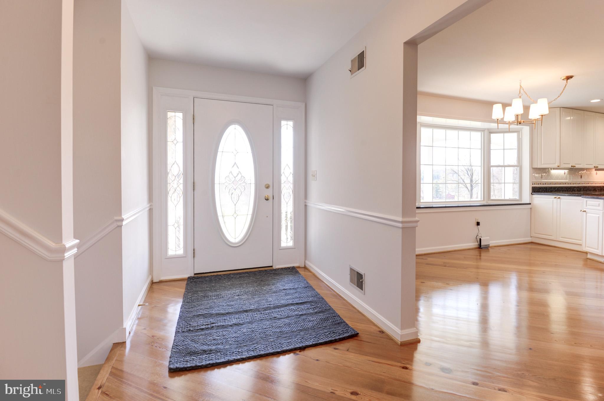 BLUE RIDGE CHASE - Residential