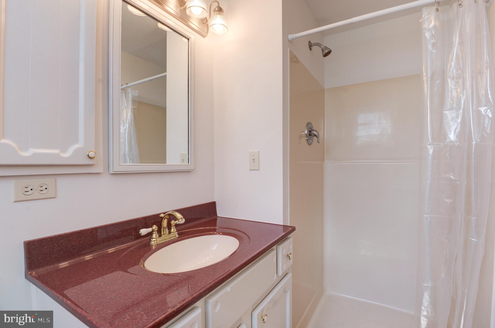 BLUE RIDGE CHASE - Residential