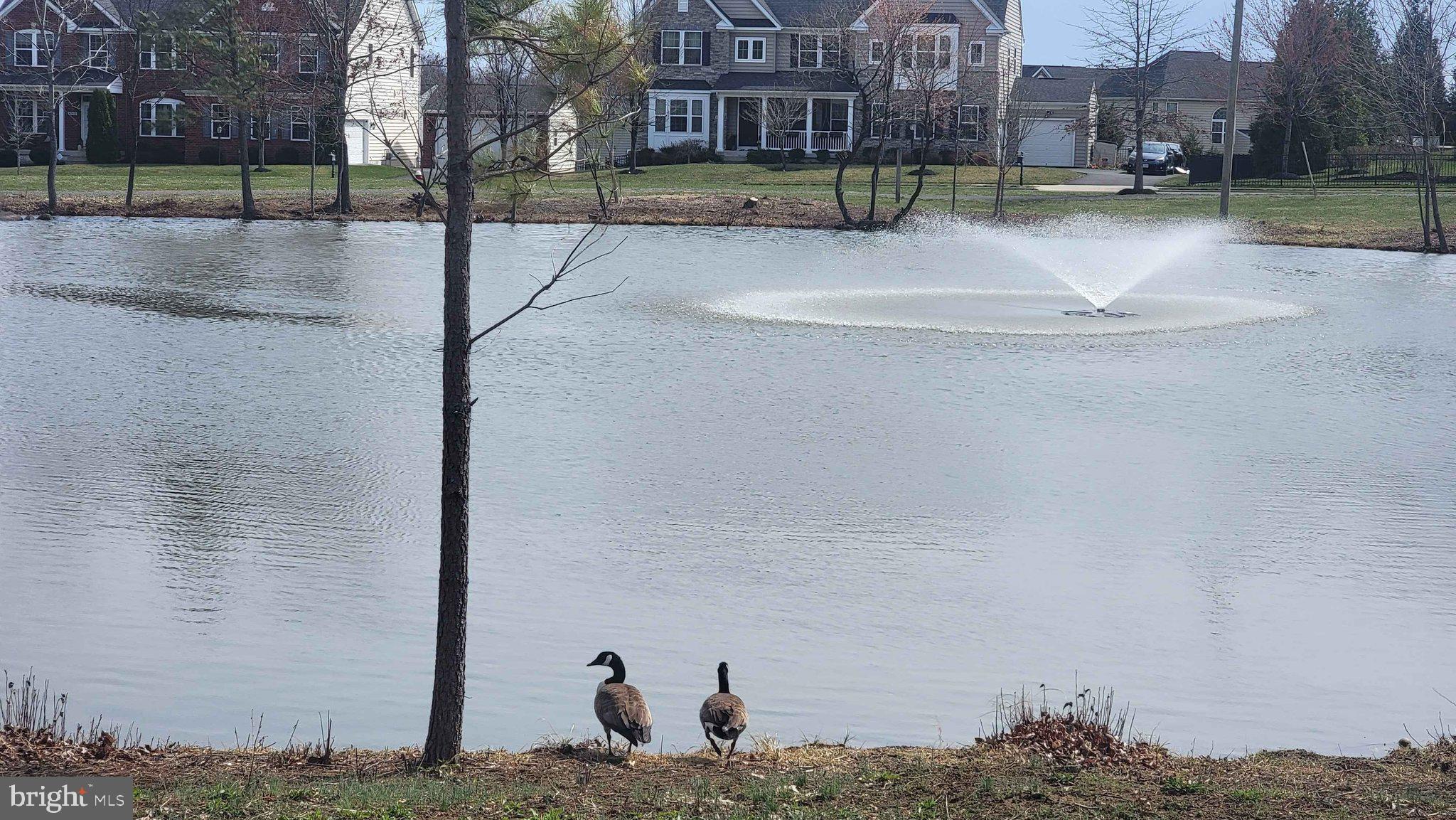 DAWSON'S CORNER - Residential