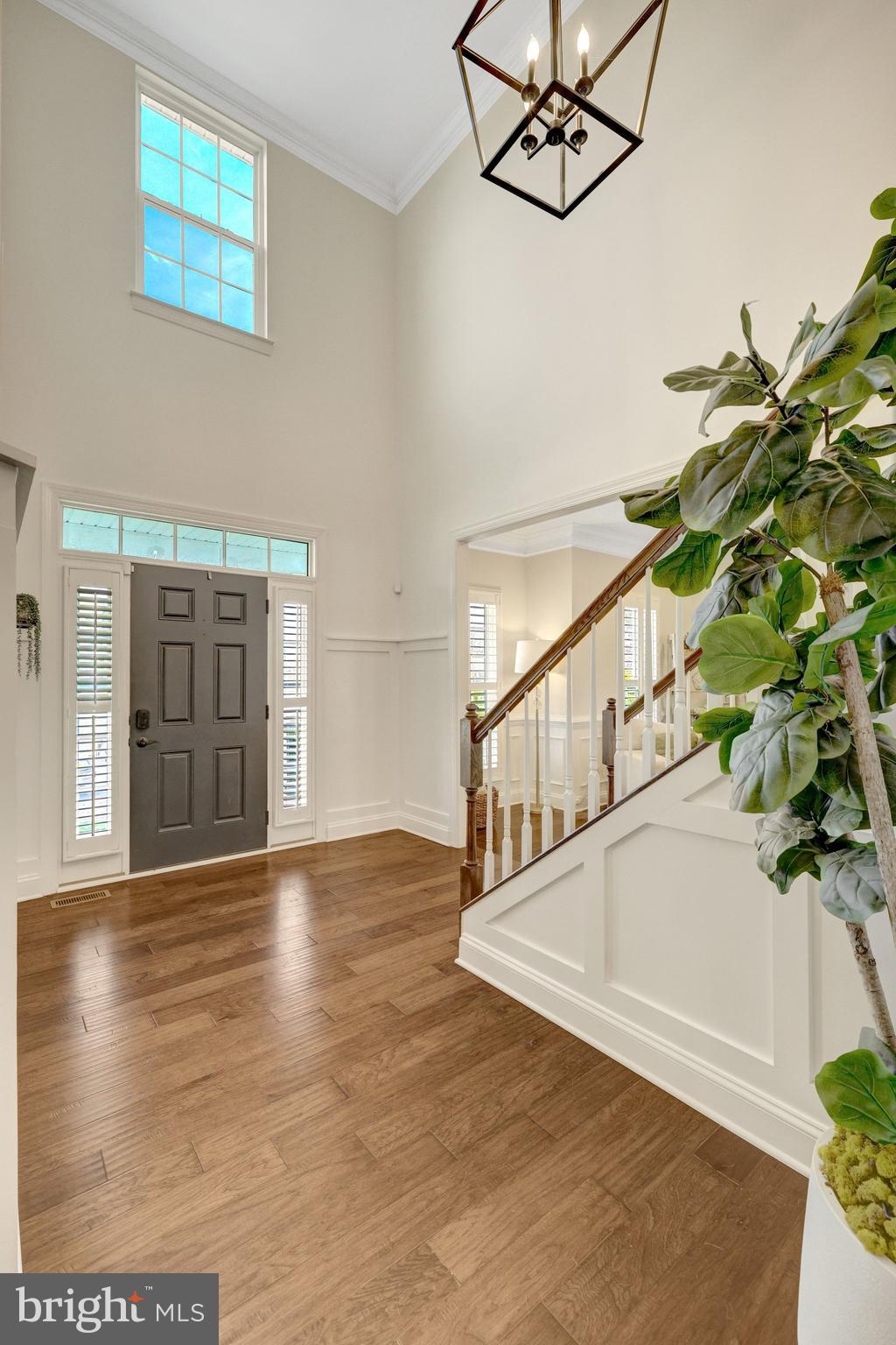 DAWSON'S CORNER - Residential