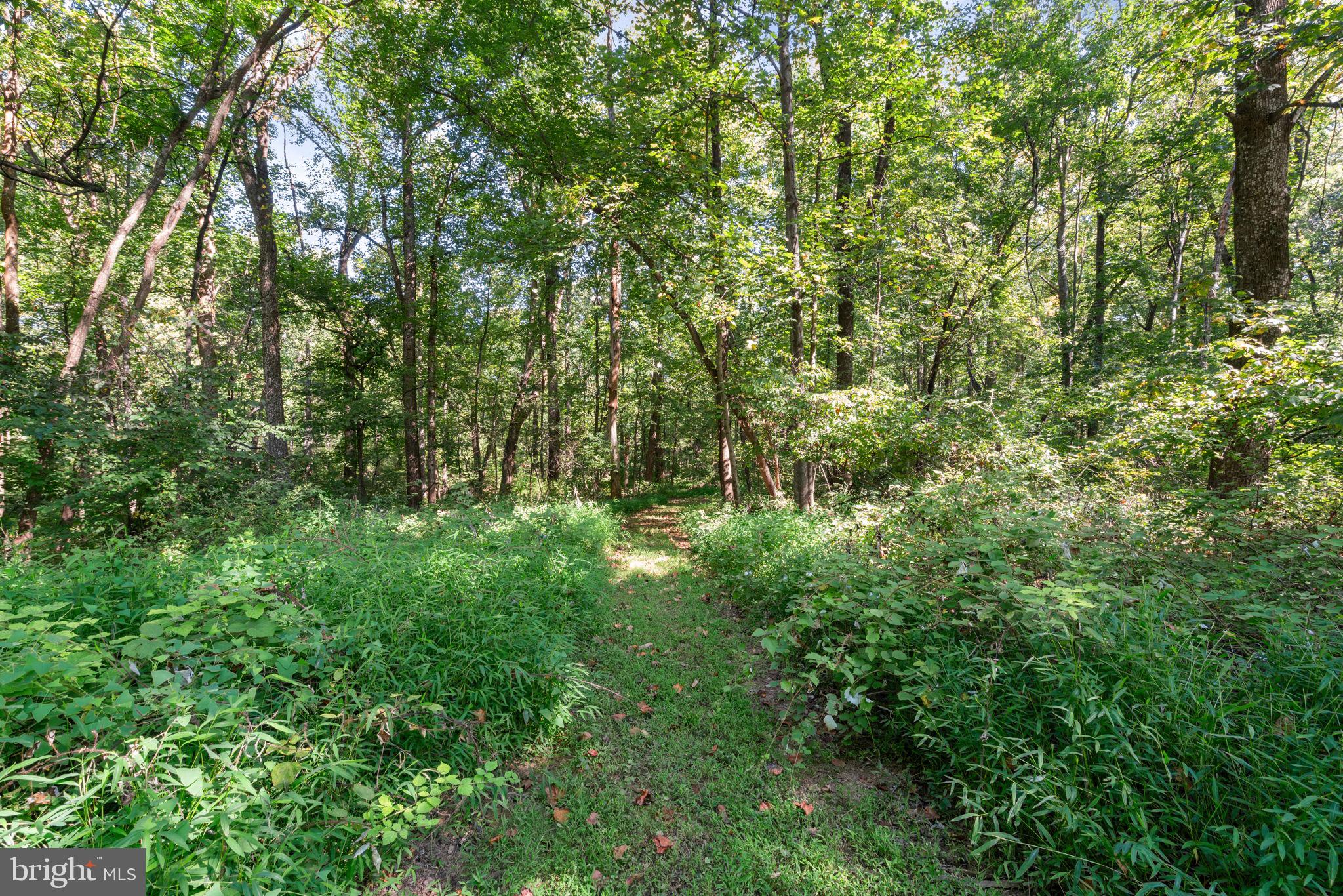 MILLER - Residential