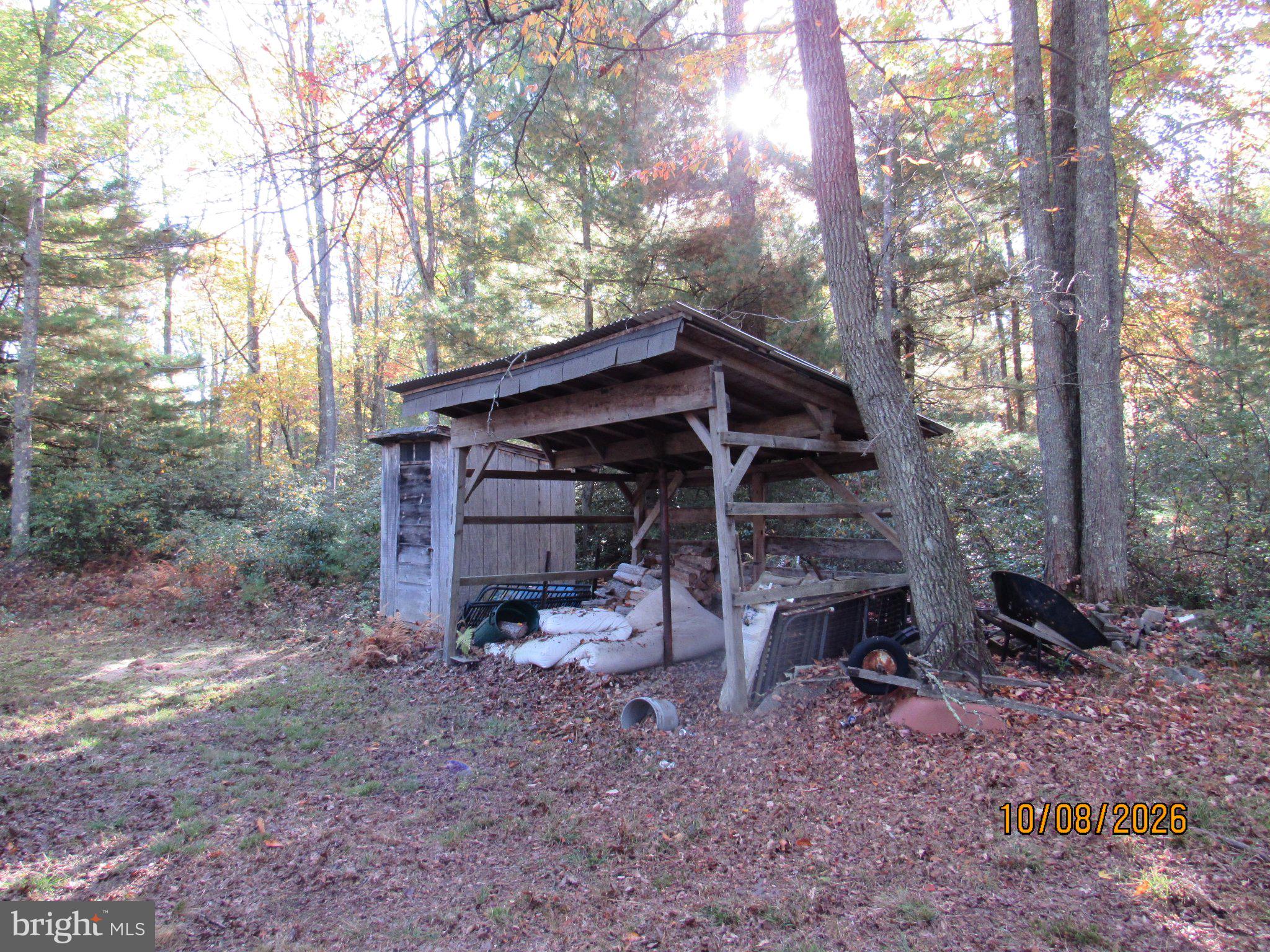 19 FISHER CAT TRAIL TRAIL 19