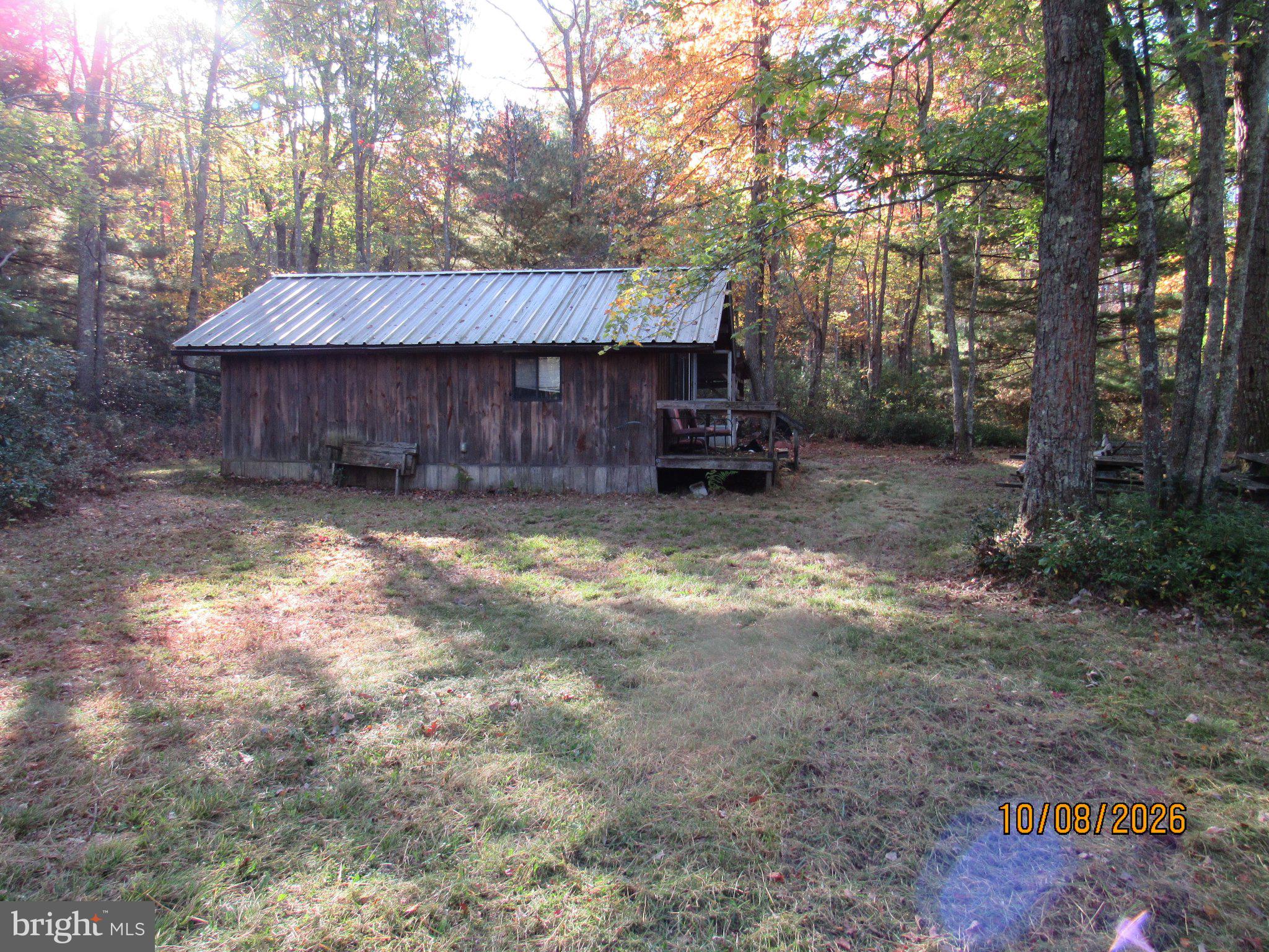 19 FISHER CAT TRAIL TRAIL 19