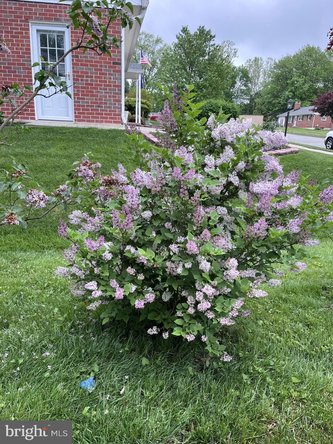 GREENRIDGE - Residential