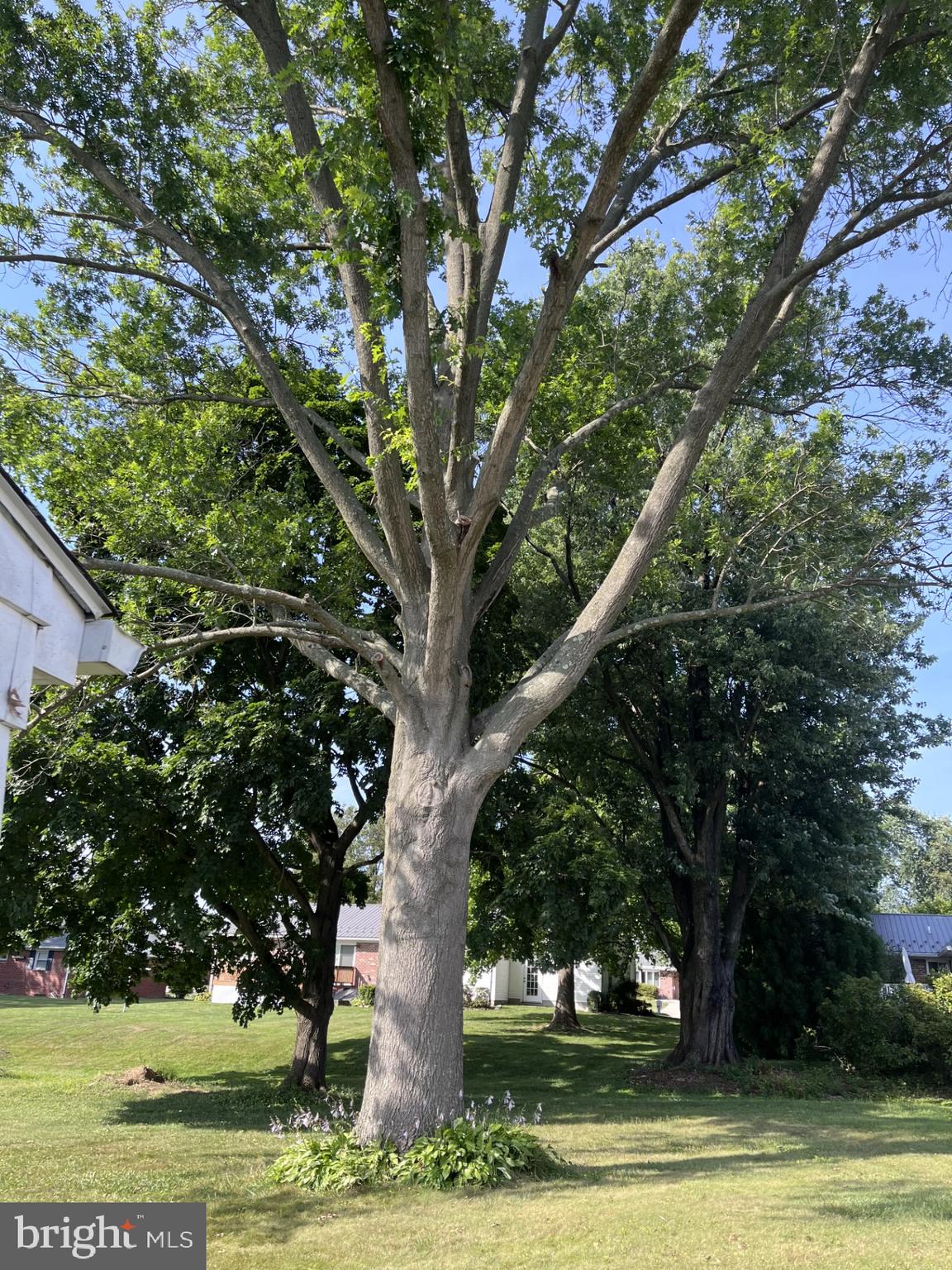 GREENRIDGE - Residential