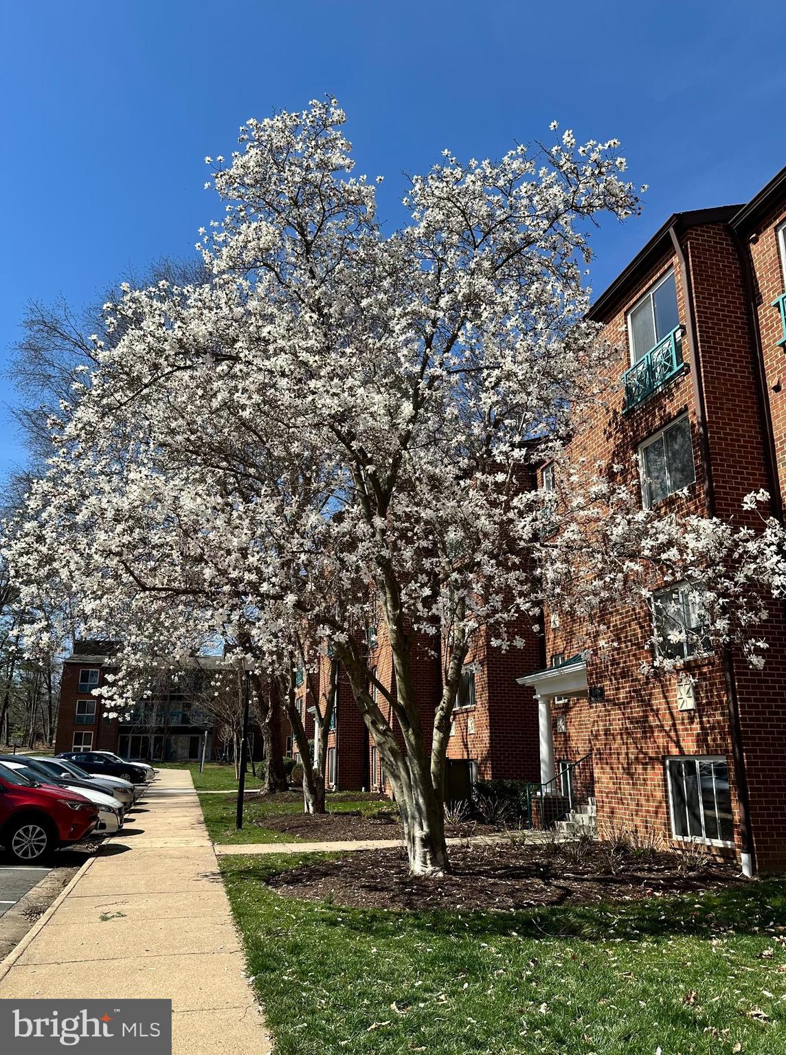 11804 BRETON COURT 22C