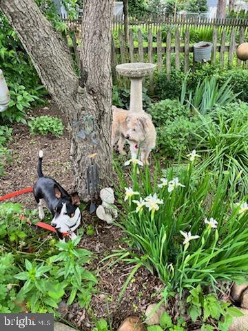 TOWN OF CENTREVILLE - Residential