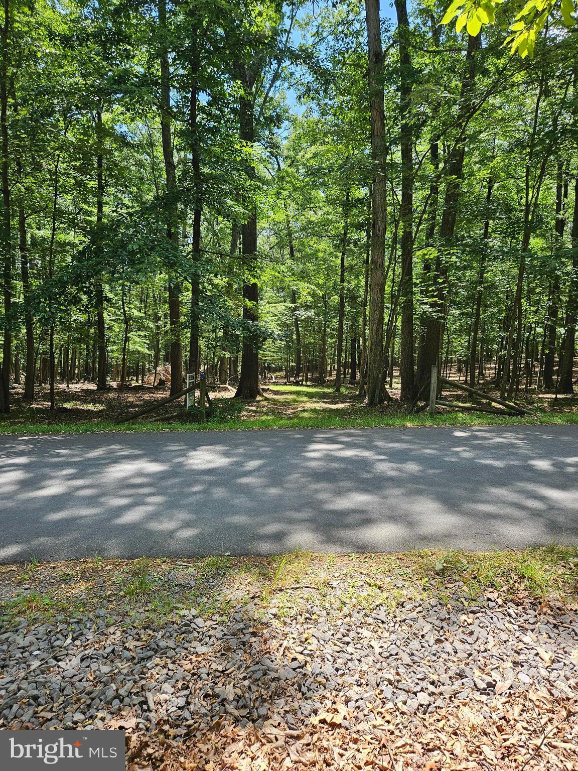 Build now or later on this level wooded lot in a gated community on the clear, clean Cacapon River. The community of River Ridge offers a private river front community lot with picnic tables and stone fire grills for your use. There is also an area where you can leave your canoes and kayaks. Peaceful community does not allow hunting, so there is plenty of wildlife to observe. A mixture of full time and part time owners enjoying the peace and quiet of this mountain area about 12 miles west of the wonderful historic town of Berkeley Springs.