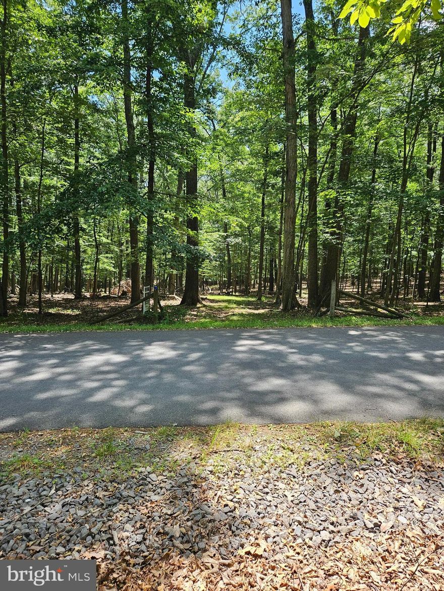 Build now or later on this level wooded lot in a gated community on the clear, clean Cacapon River.  The community of River Ridge offers a private river front community lot with picnic tables and stone fire grills for your use.  There is also an area where you can leave your canoes and kayaks.  Peaceful community does not allow hunting, so there is plenty of wildlife to observe.  A mixture of full time and part time owners enjoying the peace and quiet of this mountain area about 12 miles west of the wonderful historic town of Berkeley Springs.