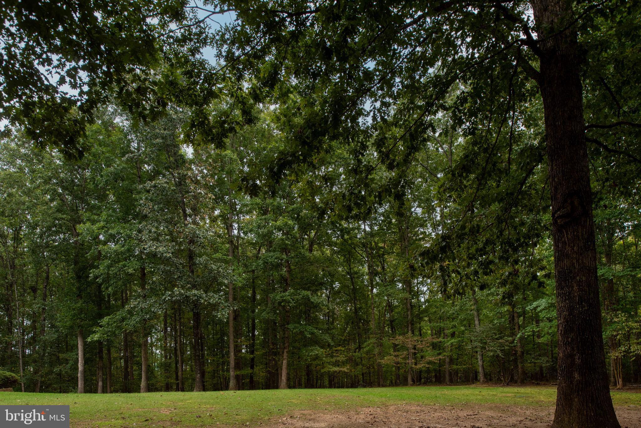 MEADOWLAND - Residential