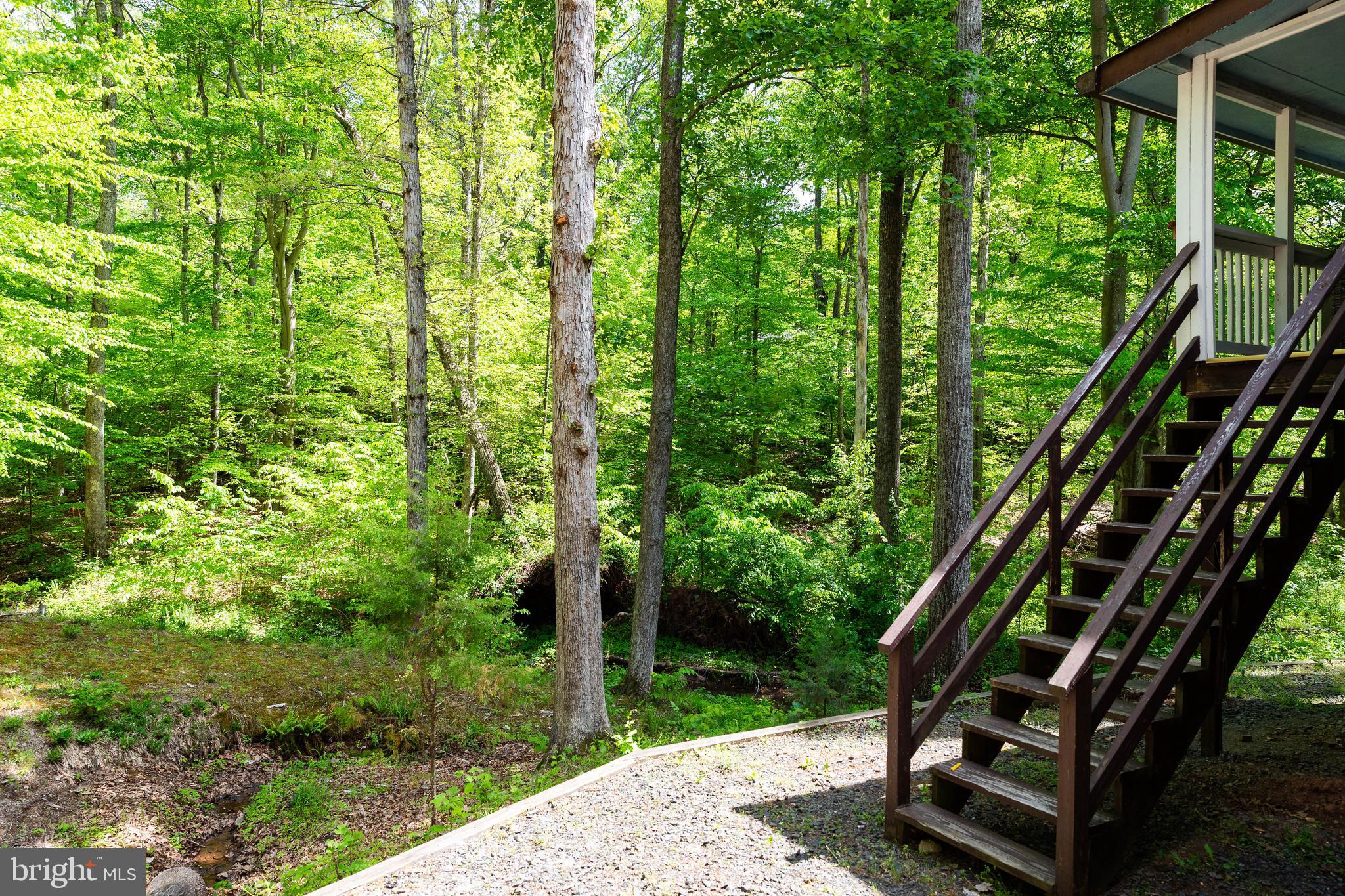 BRADLEY FOREST - Residential