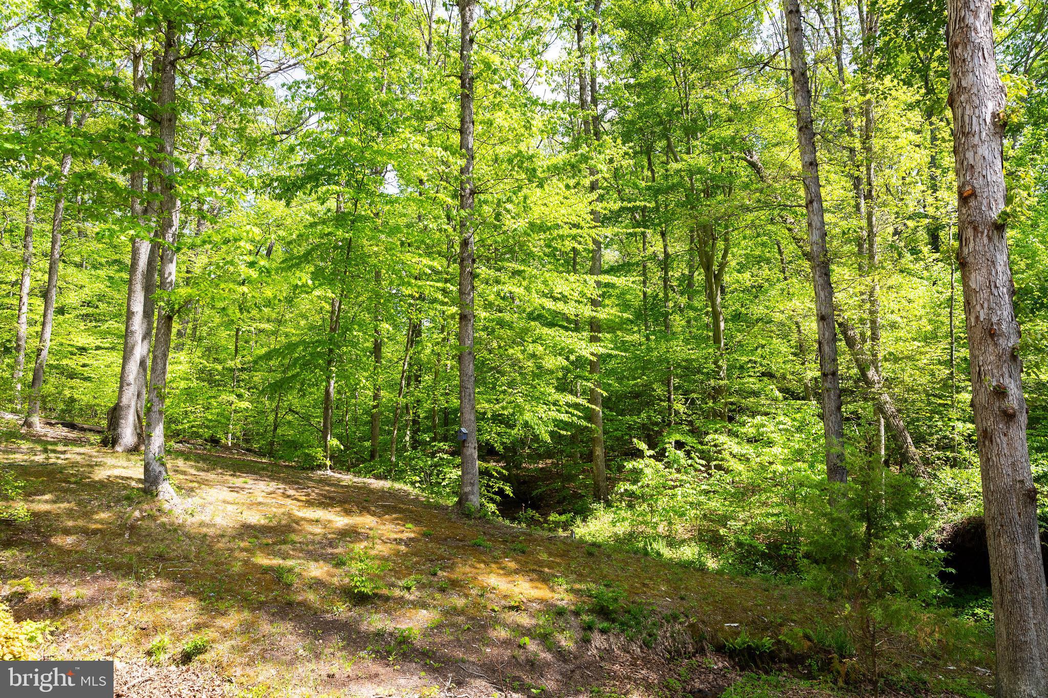 BRADLEY FOREST - Residential