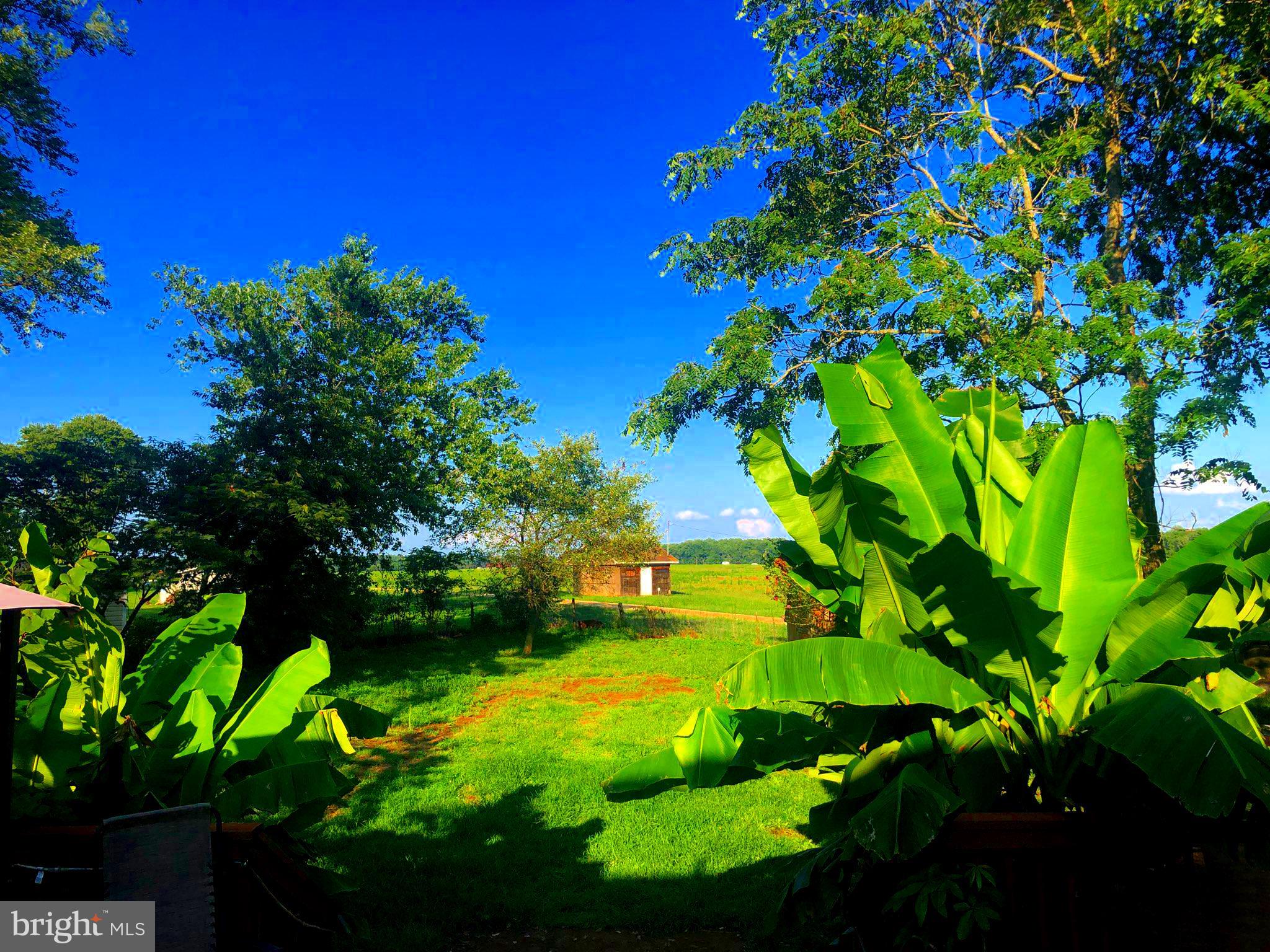 NOTTINGHAM ESTATES - Residential