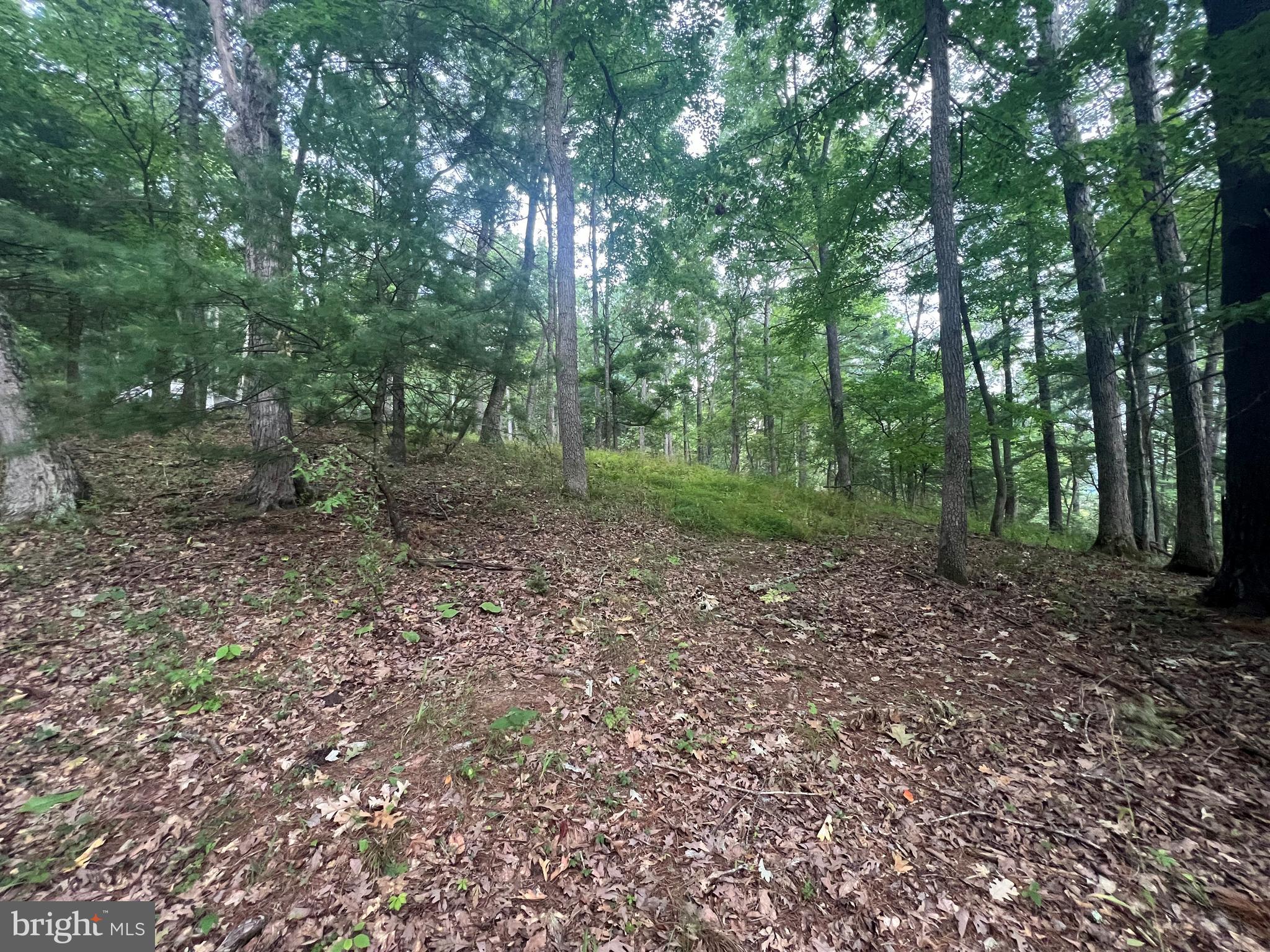 RANCH VIEW ESTATES - Land