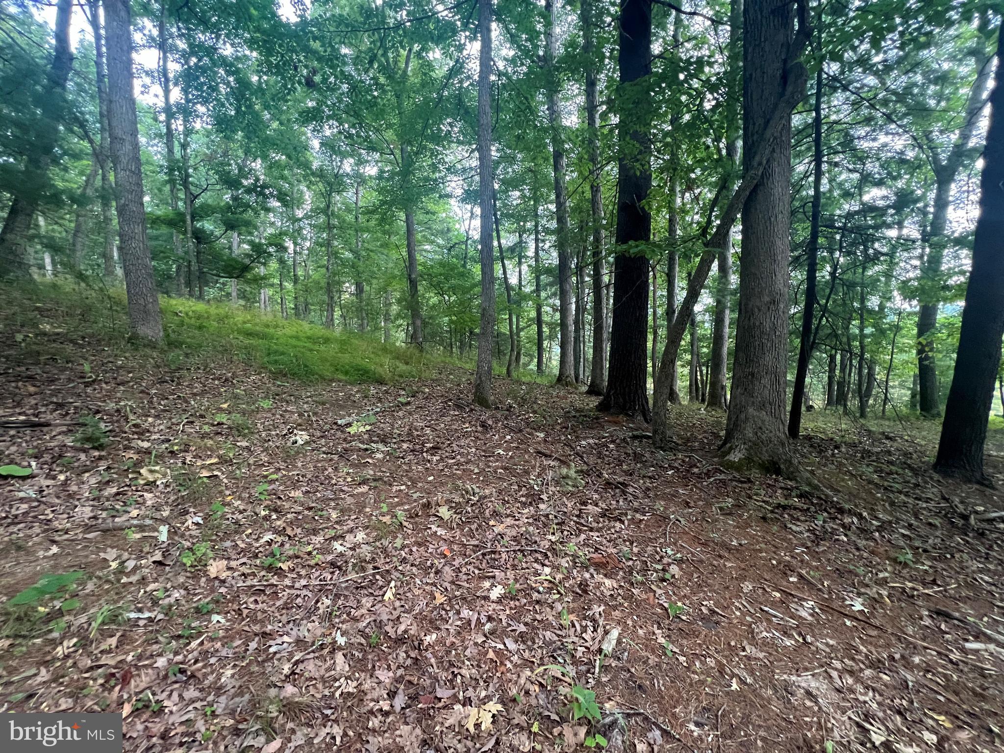 RANCH VIEW ESTATES - Land