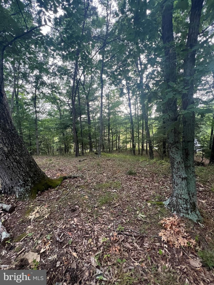 Very nice building lot in upscale Ranchview Estates located in the geographical center of beautiful Hampshire Co WV . One of the last remaining lots in this great S/D located only 40 minutes west of Winchester and ready for your WV dream home . Priced to sell at $28,000 so make this one first on your list.