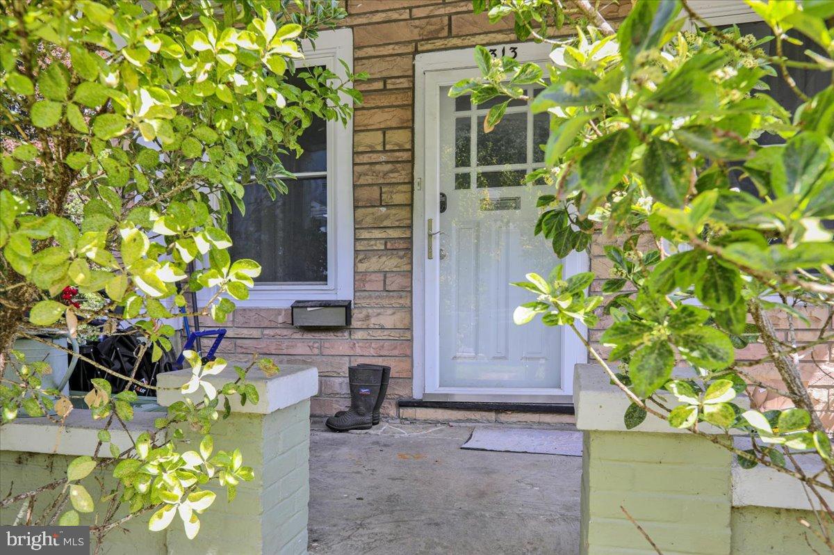 1313 CARSONIA AVENUE