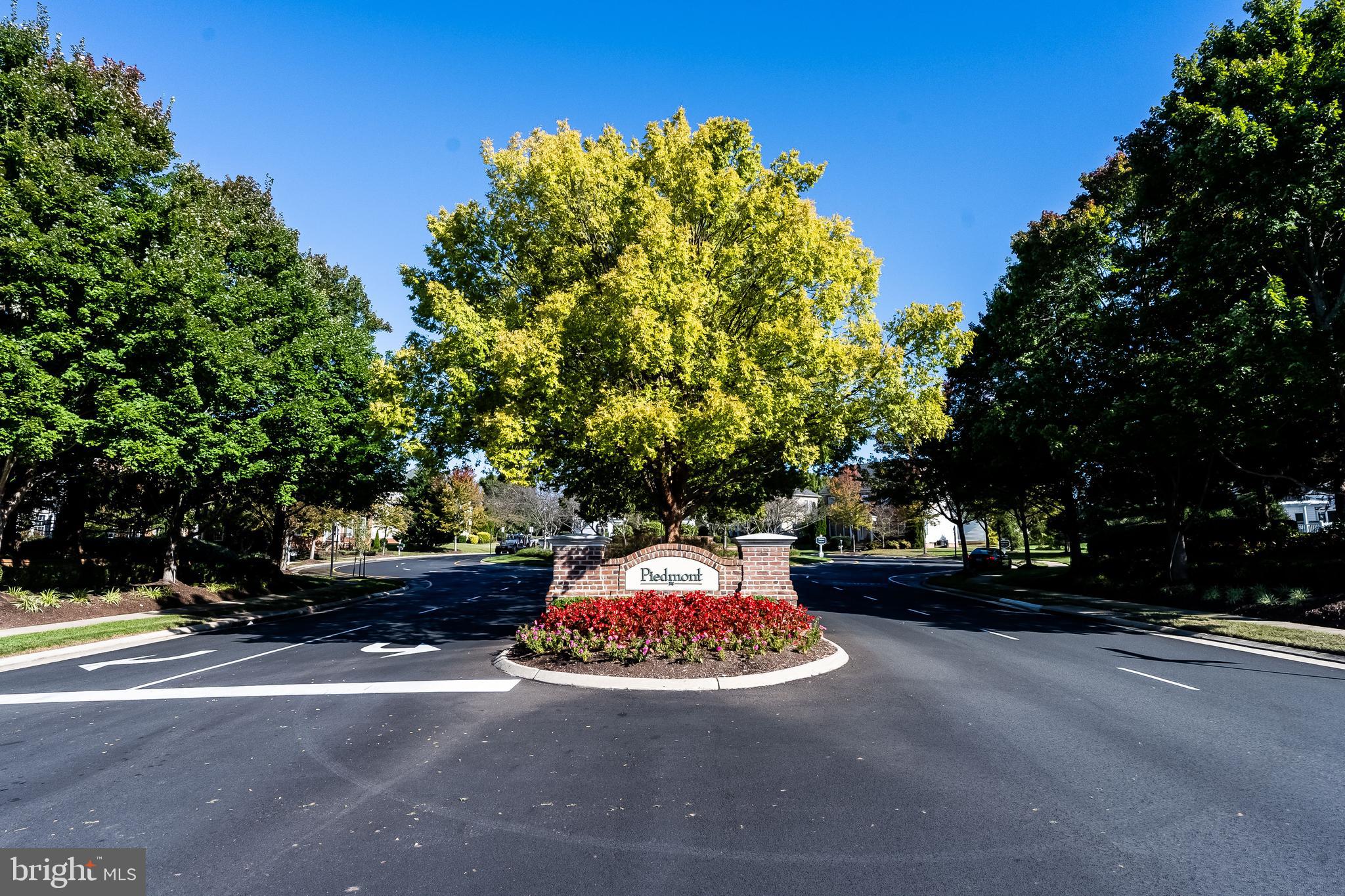 13365 PIEDMONT VISTA DRIVE