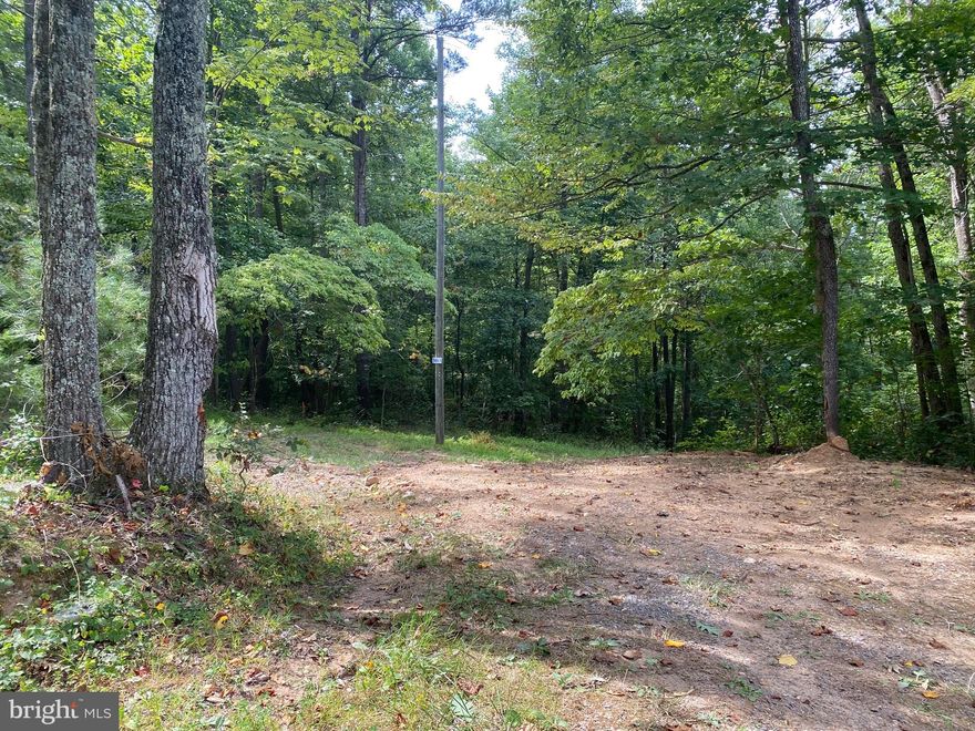 Looking for land? How about a big piece of land? With almost 10 acres, this perfect parcel is ready for you to build on! It fronts Jackson Lane just off Sperryville Pike in Boston, VA. There are multiple homesites approved to build on and it boasts tall timber for that private wooded getaway not too far from Northern Virginia. Owner can finance with easy terms, no prepayment penalties if you want to pay it off early. Stop dreaming about that new home in the country and start planning for it today, call for a tour!