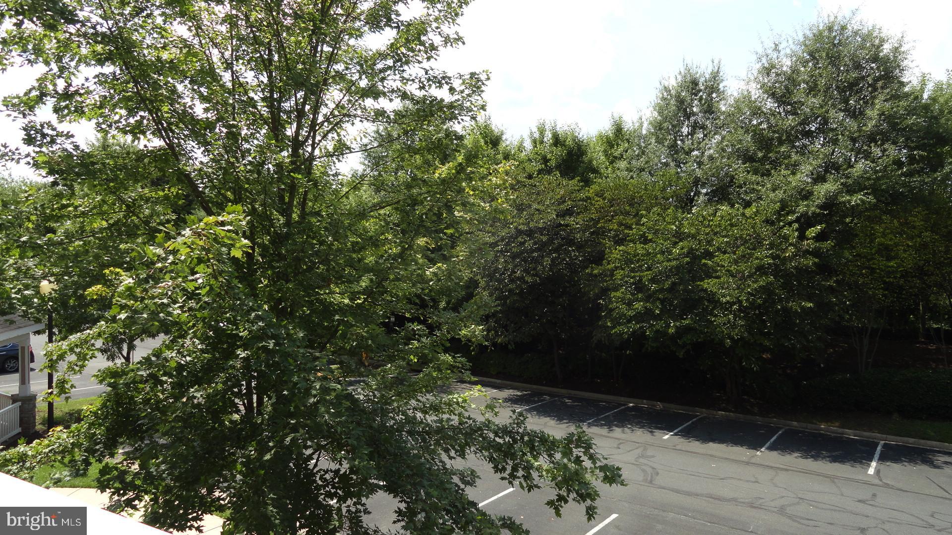 STRATFORD CLUB - Residential