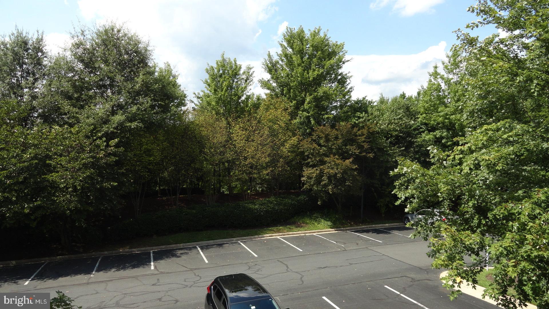 STRATFORD CLUB - Residential