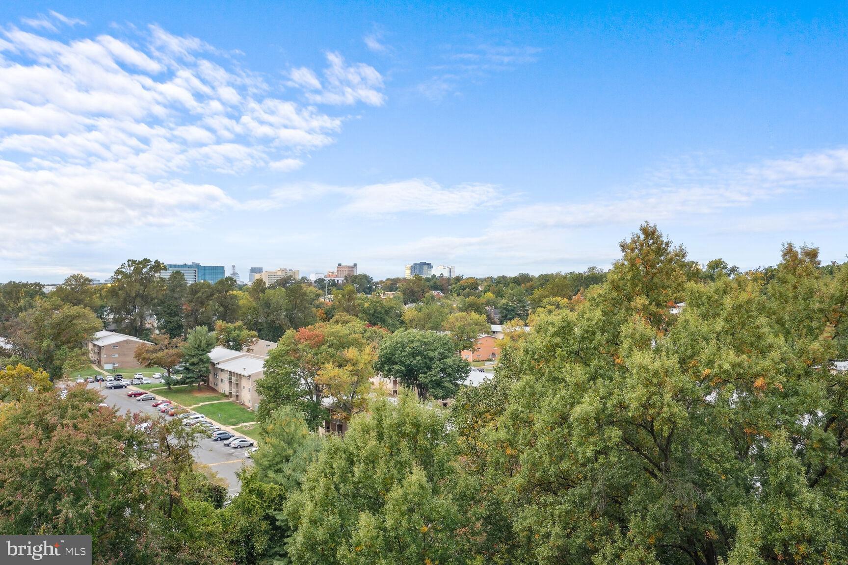 IDYLWOOD TOWERS CONDO - Residential
