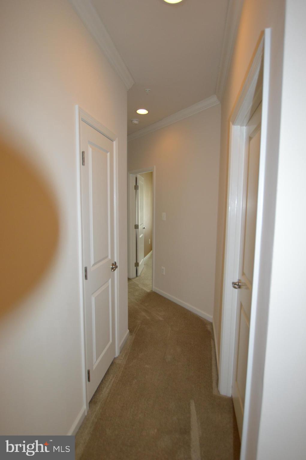 MARKET SQUARE - Residential Lease